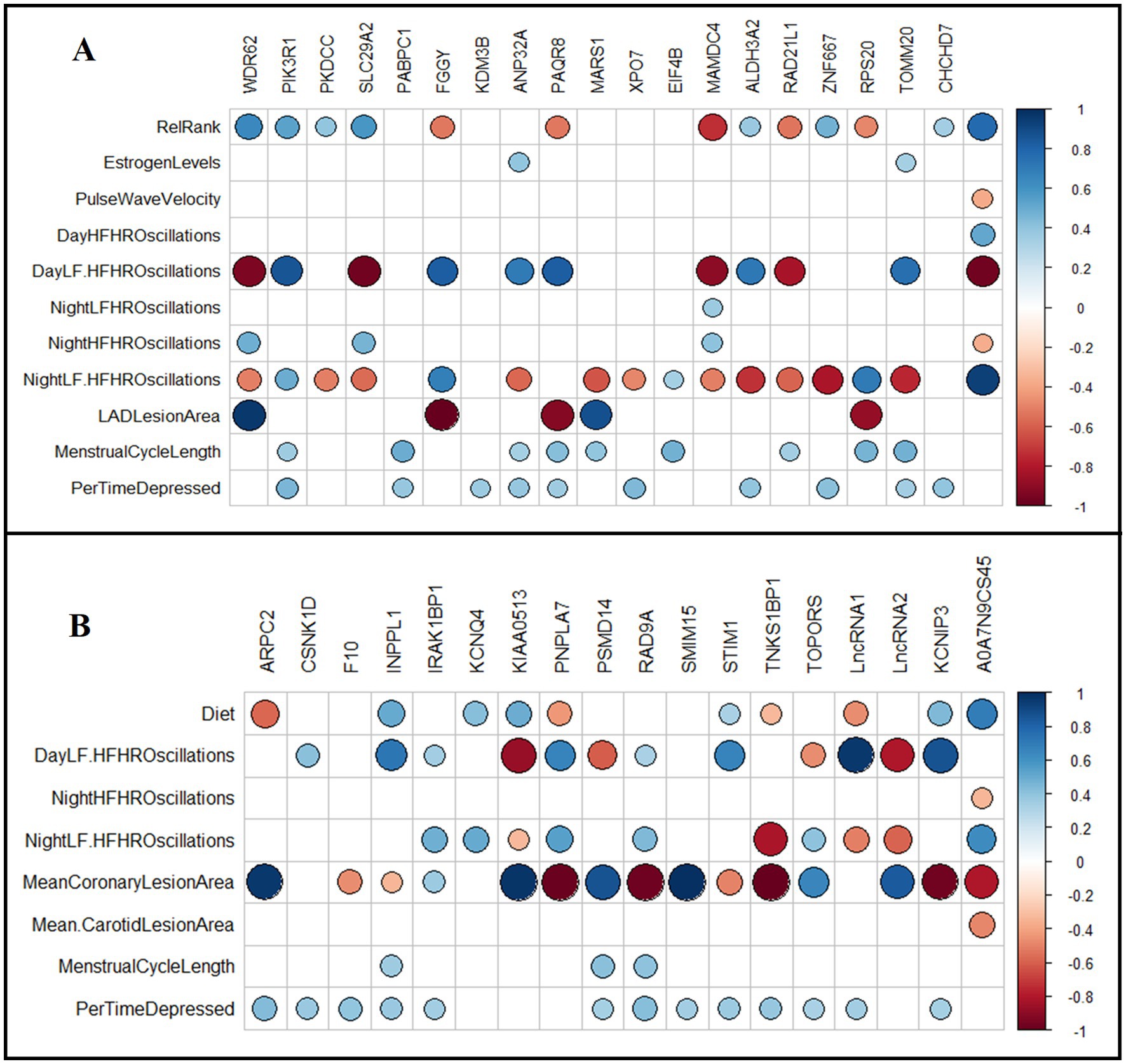 Two correlation heatmaps labeled A and B, each with a grid of colored circles representing correlation coefficients. The X-axis displays gene identifiers, while the Y-axis lists health-related parameters like heart rate oscillations and lesion areas. Colors range from red (indicating negative correlation) to blue (positive correlation). Circle size indicates the strength of the correlation. Each heatmap includes a color scale bar on the right.