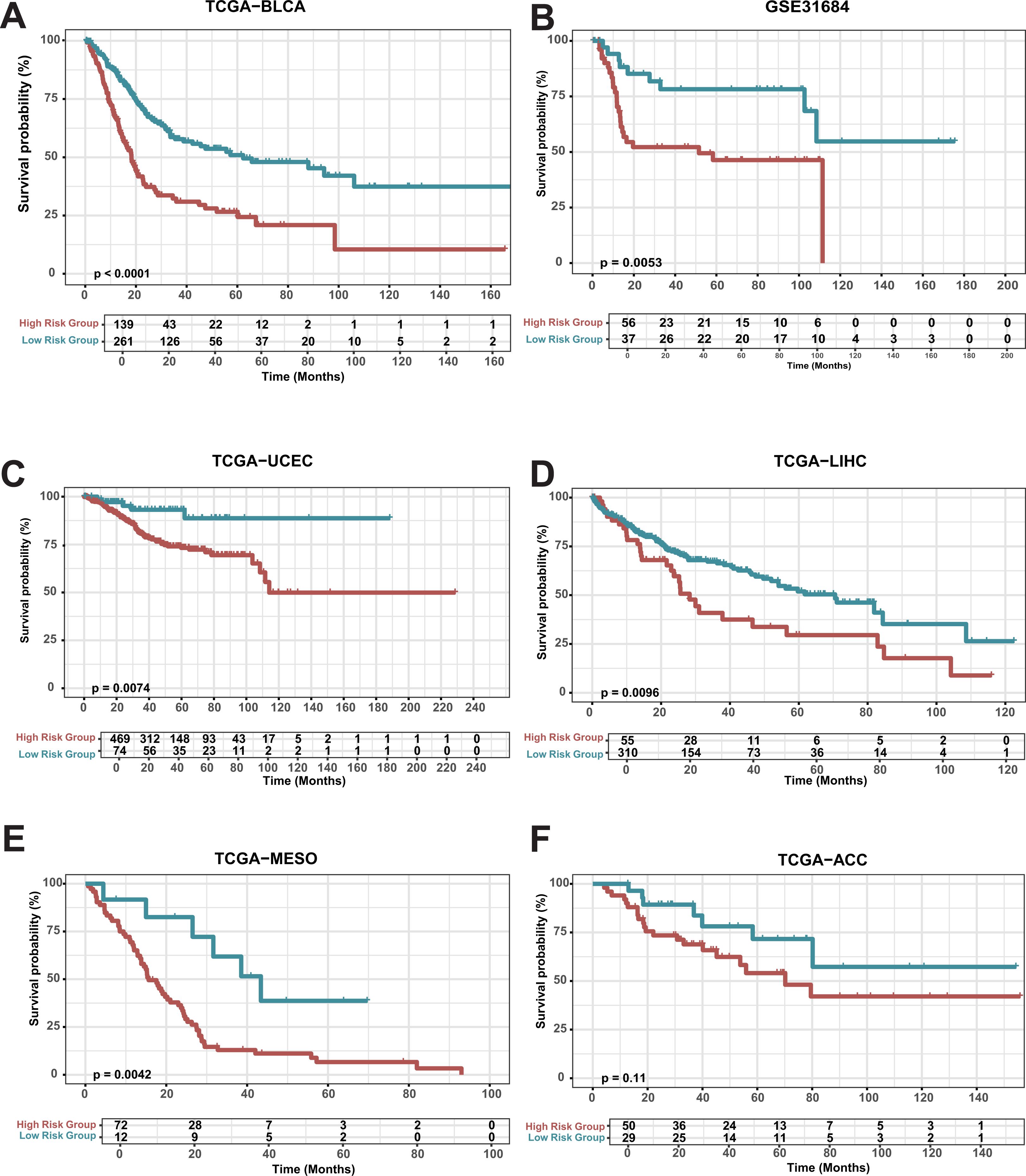 Six Kaplan-Meier survival plots compare high risk (red) and low risk (blue) groups across various datasets: A) TCGA-BLCA, B) GSE31684, C) TCGA-UCEC, D) TCGA-LIHC, E) TCGA-MESO, F) TCGA-ACC. Survival probability (%) is plotted against time in months, with p-values indicated for statistical significance.