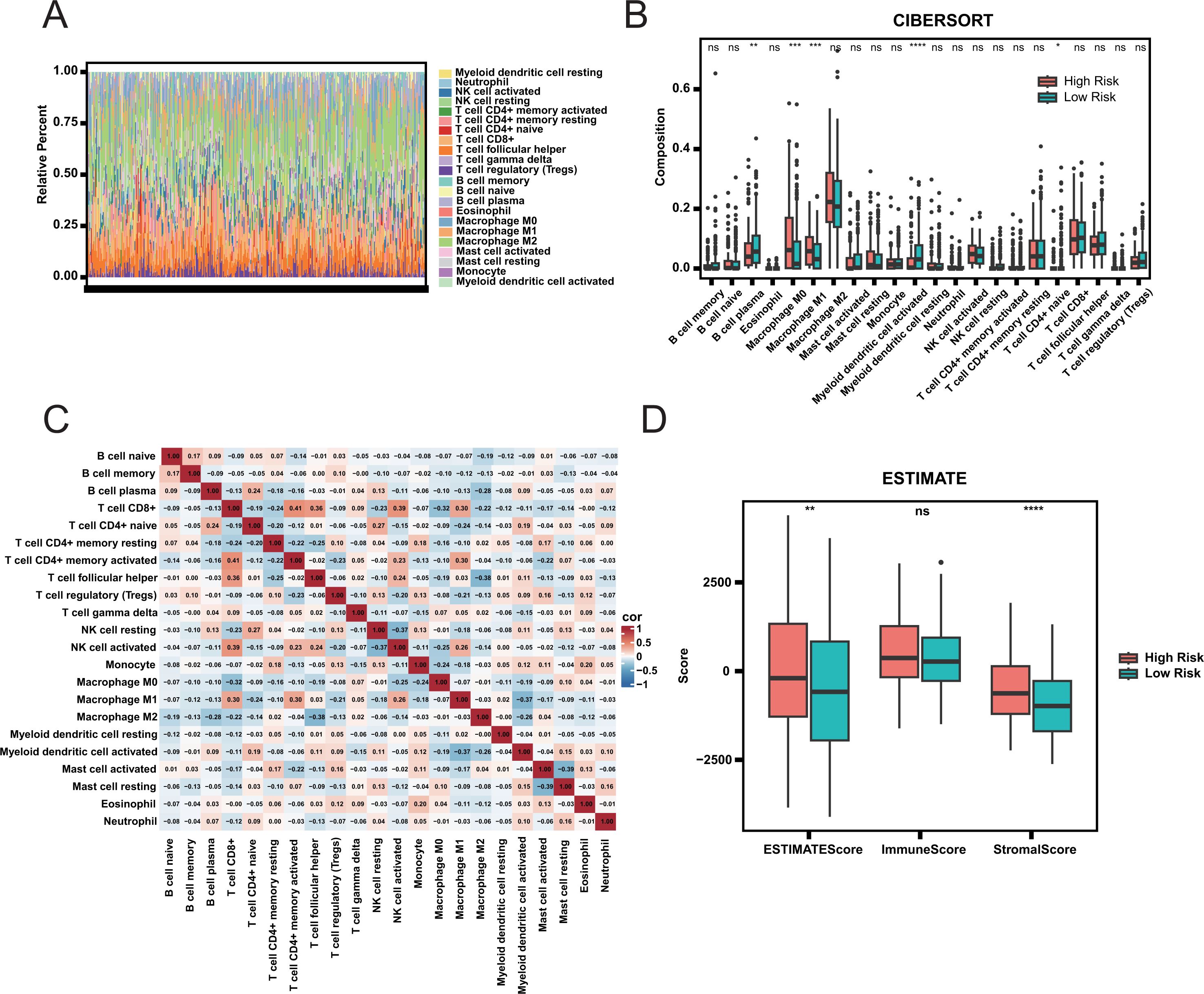 A composite image with four panels labeled A to D analyzing immune cell composition and scores in different risk groups: A. Stacked area chart showing relative percentages of various immune cells, each represented with different colors. B. Box plot comparing immune cell composition between high-risk and low-risk groups using CIBERSORT. C. Heatmap illustrating correlations between different immune cell types with a gradient from red to blue. D. Box plot comparing ESTIMATE, immune, and stromal scores between high-risk and low-risk groups, highlighting significant differences with asterisks.