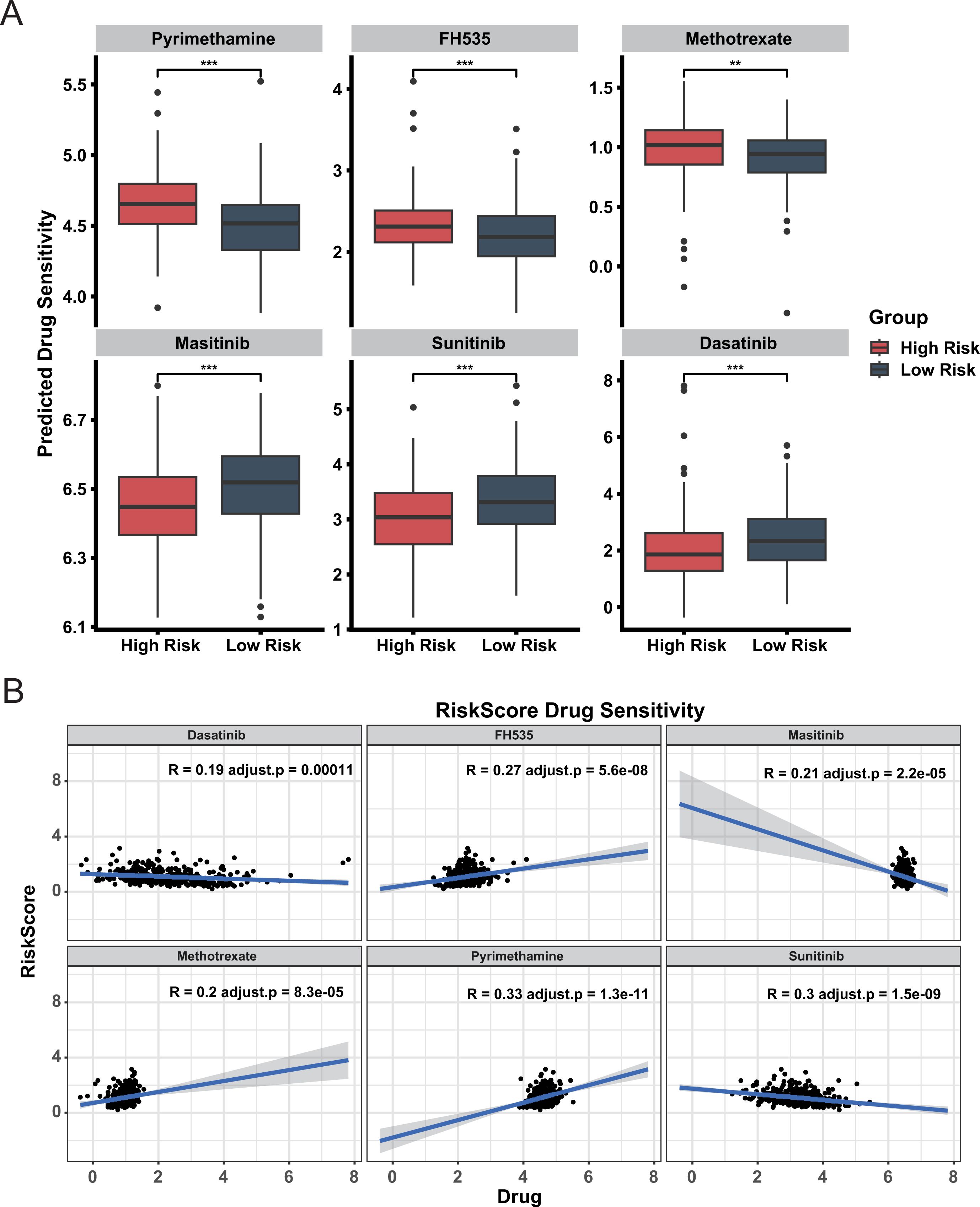 Panel A shows box plots comparing predicted drug sensitivity for high-risk and low-risk groups across six drugs: Pyrimethamine, FH535, Methotrexate, Masitinib, Sunitinib, and Dasatinib. High-risk group shows generally higher sensitivity. Panel B presents scatter plots of risk scores versus drug sensitivity for the same drugs, displaying positive correlations for most drugs, with correlation coefficients (R) and p-values indicating statistical significance.