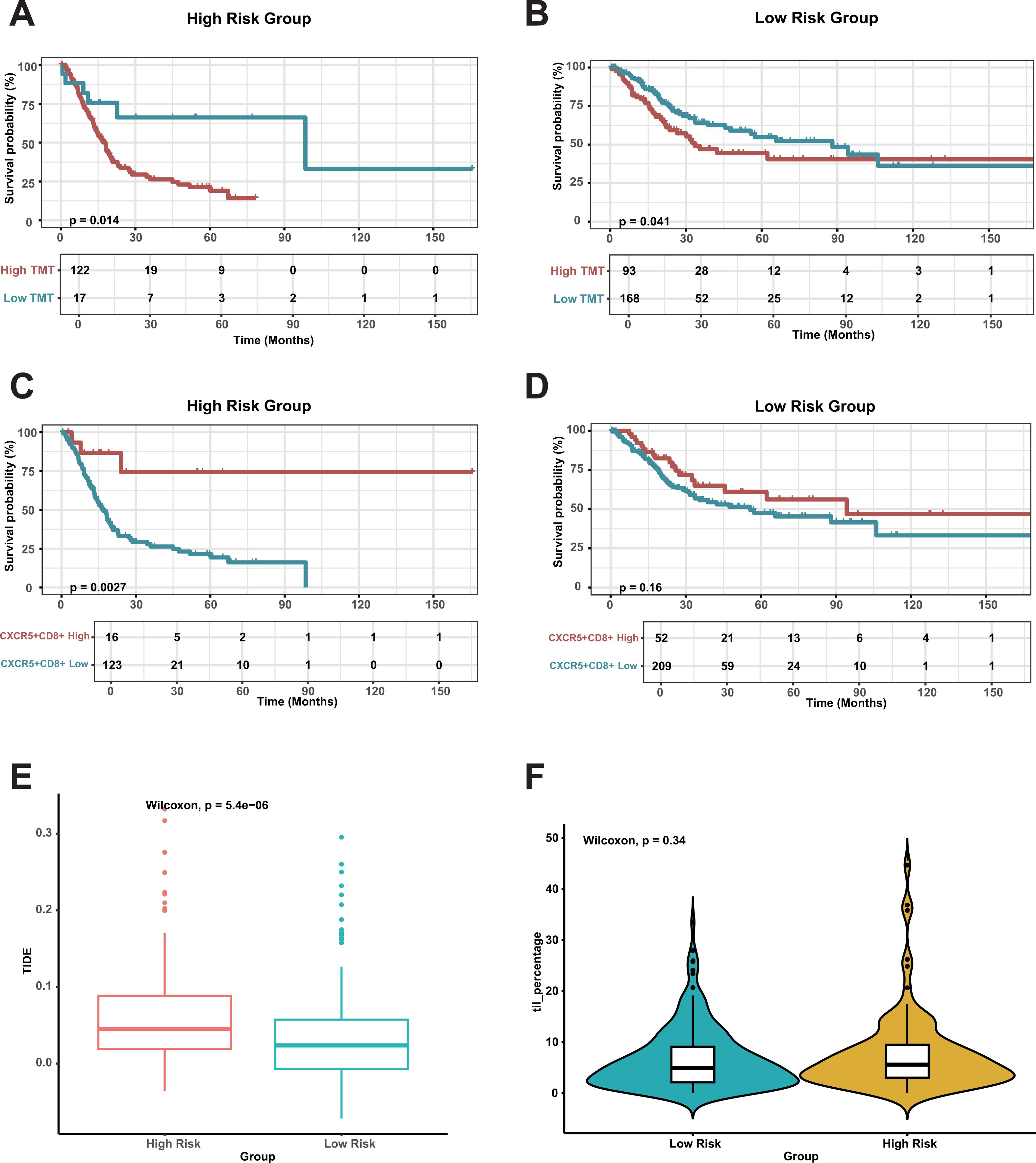 Six-panel figure comparing survival probability and statistical analysis between high and low risk groups. Panels A and B display survival curves for High and Low TMT groups with significant differences (p-values 0.014 and 0.041). Panels C and D show survival curves for CXCR5+CD8+ subsets with significant and non-significant results (p-values 0.0027 and 0.16). Panel E presents box plots comparing TIDE scores between high and low risk groups with significant differences (p-value 5.4e-06). Panel F shows violin plots comparing TIL percentages with no significant difference (p-value 0.34).