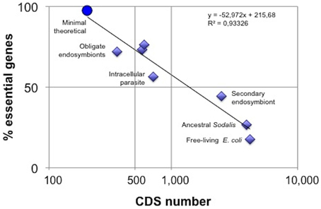 Abiogenesis: What Might Be a Cell’s minimal requirement of parts ?  Fevo-03-00123-g001