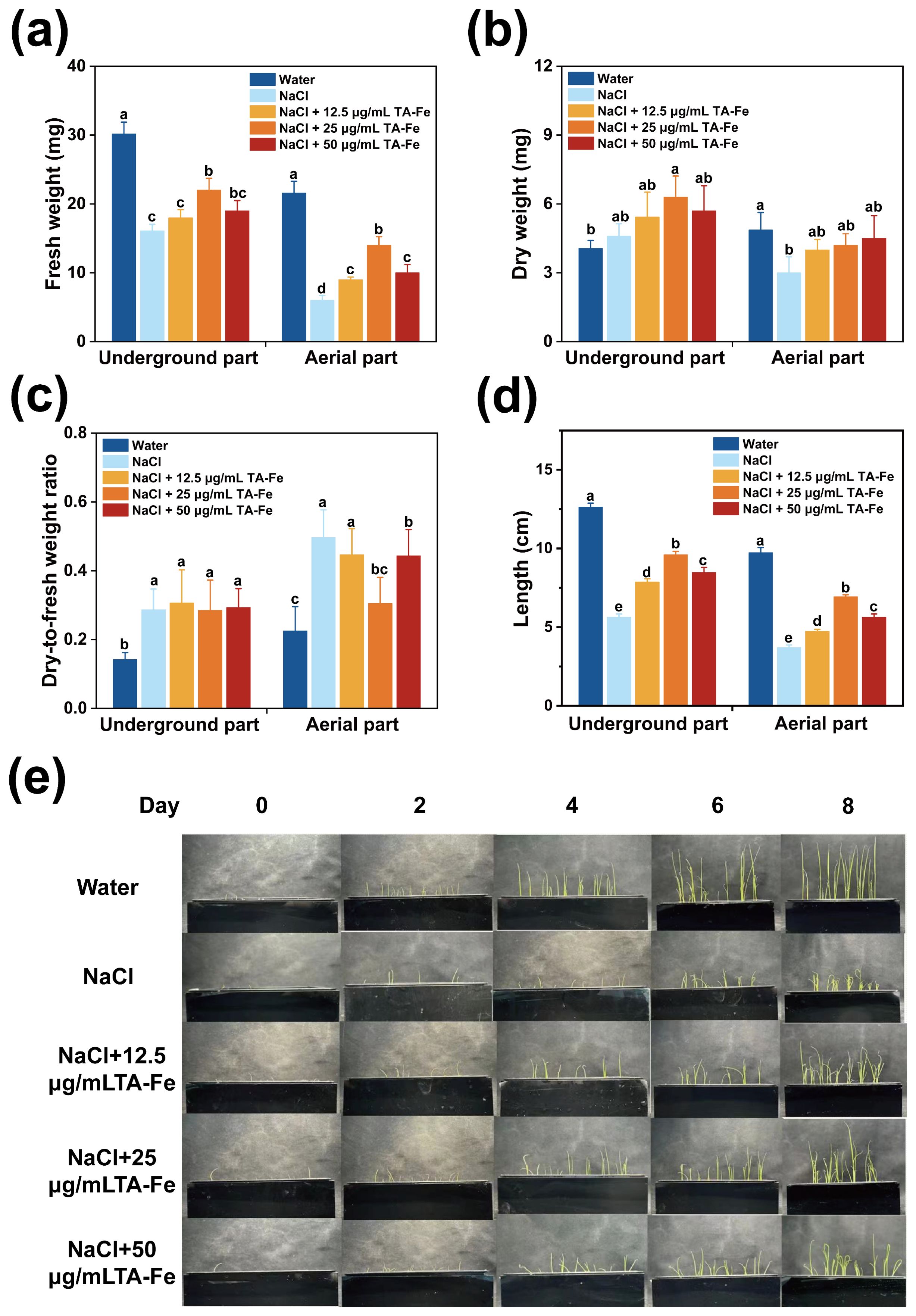 Five-part figure analyzing plant growth under different conditions. (a) Bar graph shows fresh weight for underground and aerial parts, with treatments of water, NaCl, and NaCl with varying TA-Fe concentrations. (b) Bar graph of dry weight with similar treatments. (c) Graph displaying dry-to-fresh weight ratio. (d) Bar graph of plant length. (e) Time-lapse images showing plant growth over eight days under different treatments: water, NaCl, and NaCl with different TA-Fe concentrations. Various letter annotations indicate statistical significance among groups.