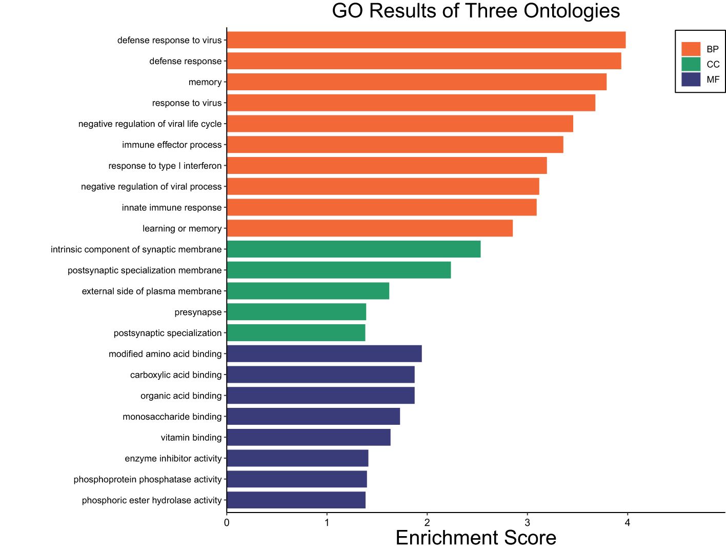 Bar chart showing GO results of three ontologies: Biological Process (BP) in orange, Cellular Component (CC) in green, and Molecular Function (MF) in purple. Bars represent enrichment scores for various functions such as “defense response to virus,” “memory,” and “enzyme inhibitor activity.” Longer bars indicate higher enrichment scores.