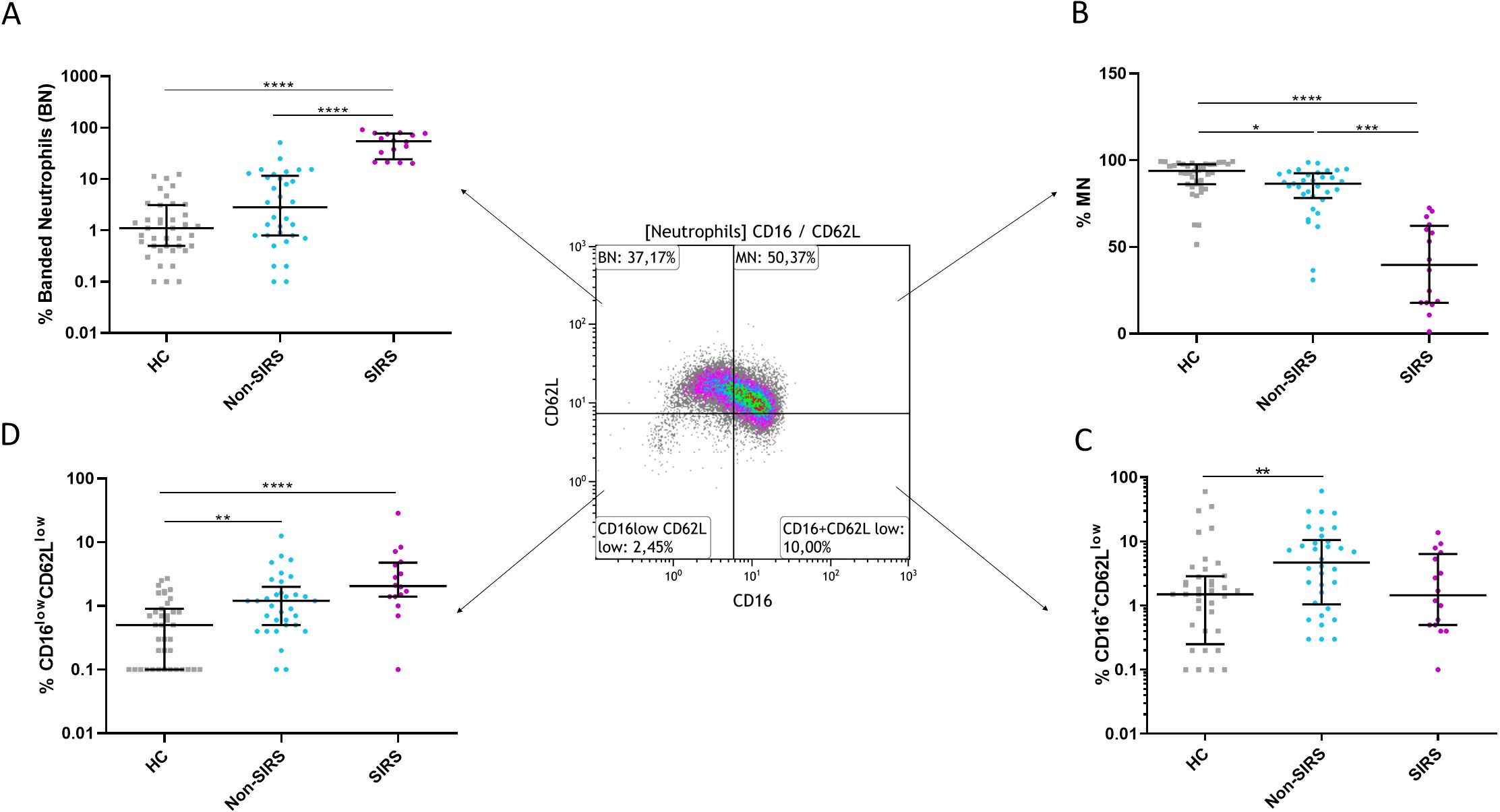 Four-panel image showing neutrophil data. Panel A: % Banded Neutrophils across HC, Non-SIRS, and SIRS groups, with significant differences. Panel B: % MN, showing variation among groups. Panel C: % CD16⁺CD62L⁻, with notable differences. Panel D: % CD16^low CD62L^low, highlighting differences. A central scatter plot displays CD16/CD62L expression with quadrant percentages labeled.