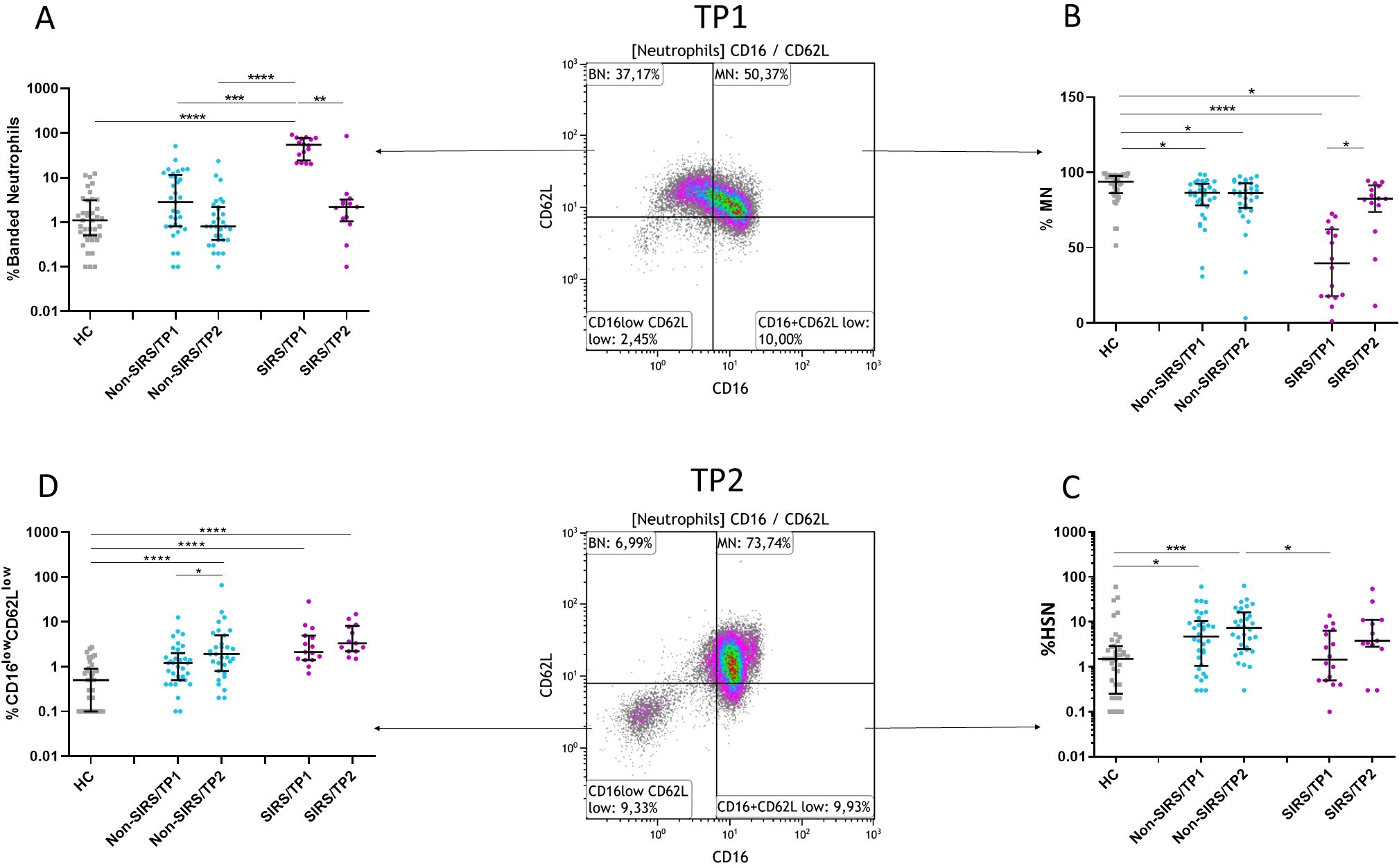 Graphs and scatter plots showing neutrophil characteristics in different groups and time points. Panels A, B, C, and D display percentages of banded neutrophils, MN, HSN, and CD16 low CD62L low cells across groups: HC, Non-SIRS/TP1, Non-SIRS/TP2, SIRS/TP1, and SIRS/TP2. Panel TP1 and TP2 show flow cytometry plots with CD16 and CD62L markers. Statistical significance is indicated with asterisks, where “***” denotes highly significant differences.