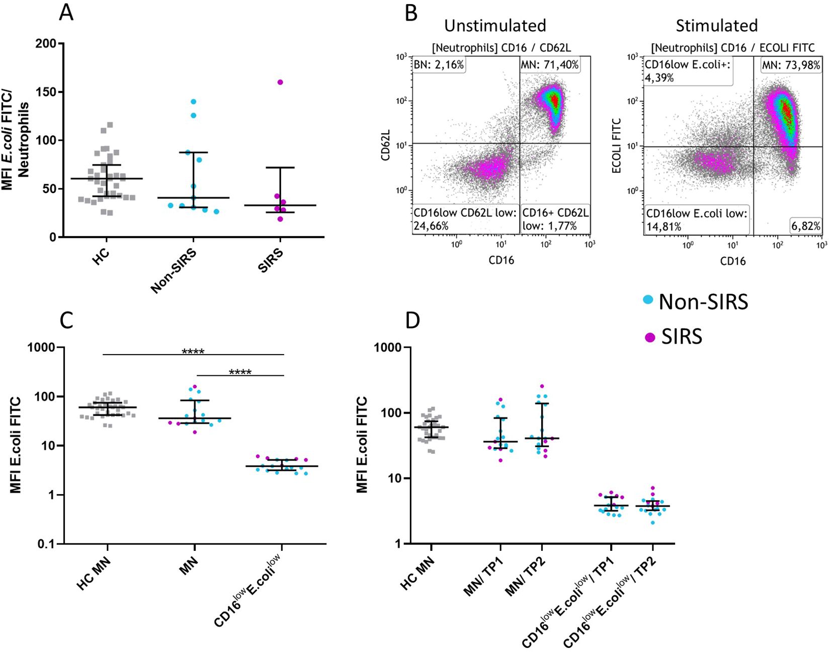 Chart A shows median fluorescence intensity (MFI) of E. coli FITC in neutrophils among three groups: healthy controls (HC), non-SIRS, and SIRS. Chart B displays flow cytometry plots comparing unstimulated and stimulated neutrophils, indicating changes in CD16 and CD62L. Chart C compares MFI E. coli FITC between HC monocytes and others, showing significant differences. Chart D shows MFI E. coli FITC levels across different timepoints and conditions for non-SIRS and SIRS groups.