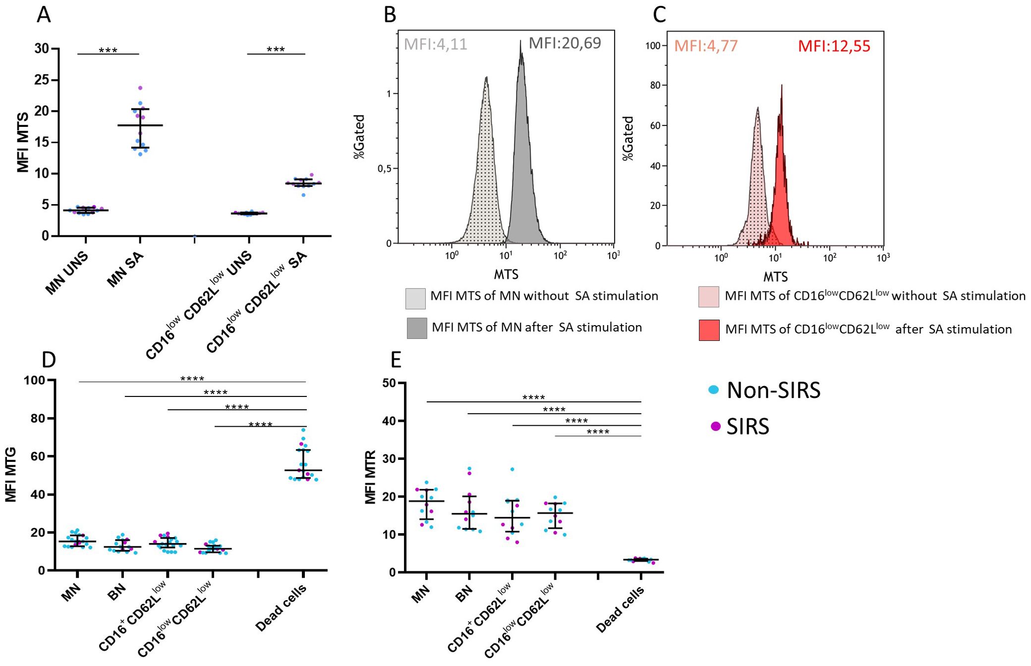 Graphs showing flow cytometry data related to MTS stimulation. Panel A compares MFI MTS in different cell groups with significant differences indicated. Panel B shows histograms of MFI MTS of MN with and without SA stimulation. Panel C illustrates MFI MTS of CD16^lowCD62L^low with and without SA stimulation. Panels D and E display MFI ITG and MTR in various cell populations, highlighting significant differences. Non-SIRS and SIRS groups are distinguished by blue and magenta dots, respectively.