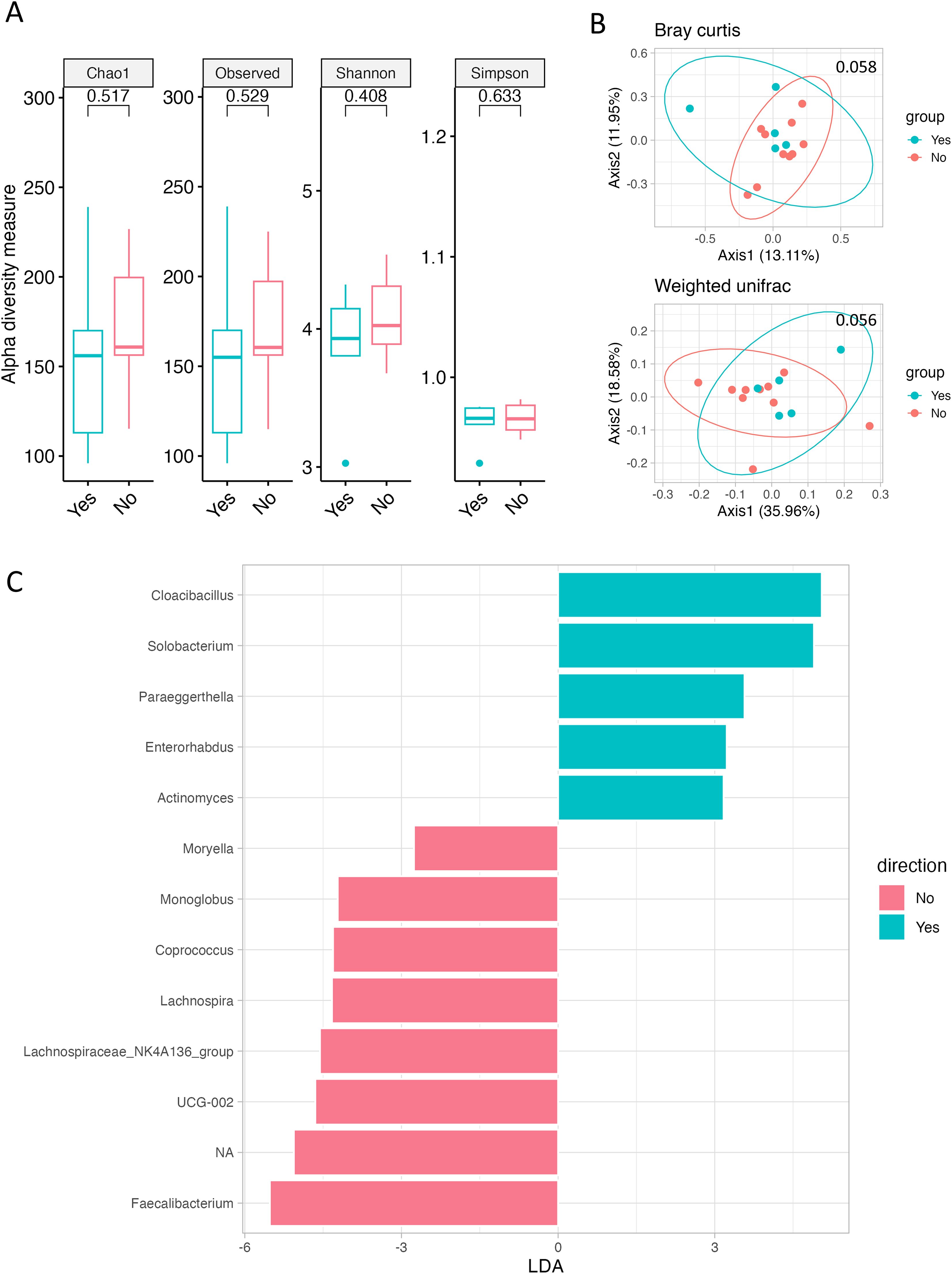 Box plots in panel A compare alpha diversity measures (Chao1, Observed, Shannon, Simpson) between two groups (