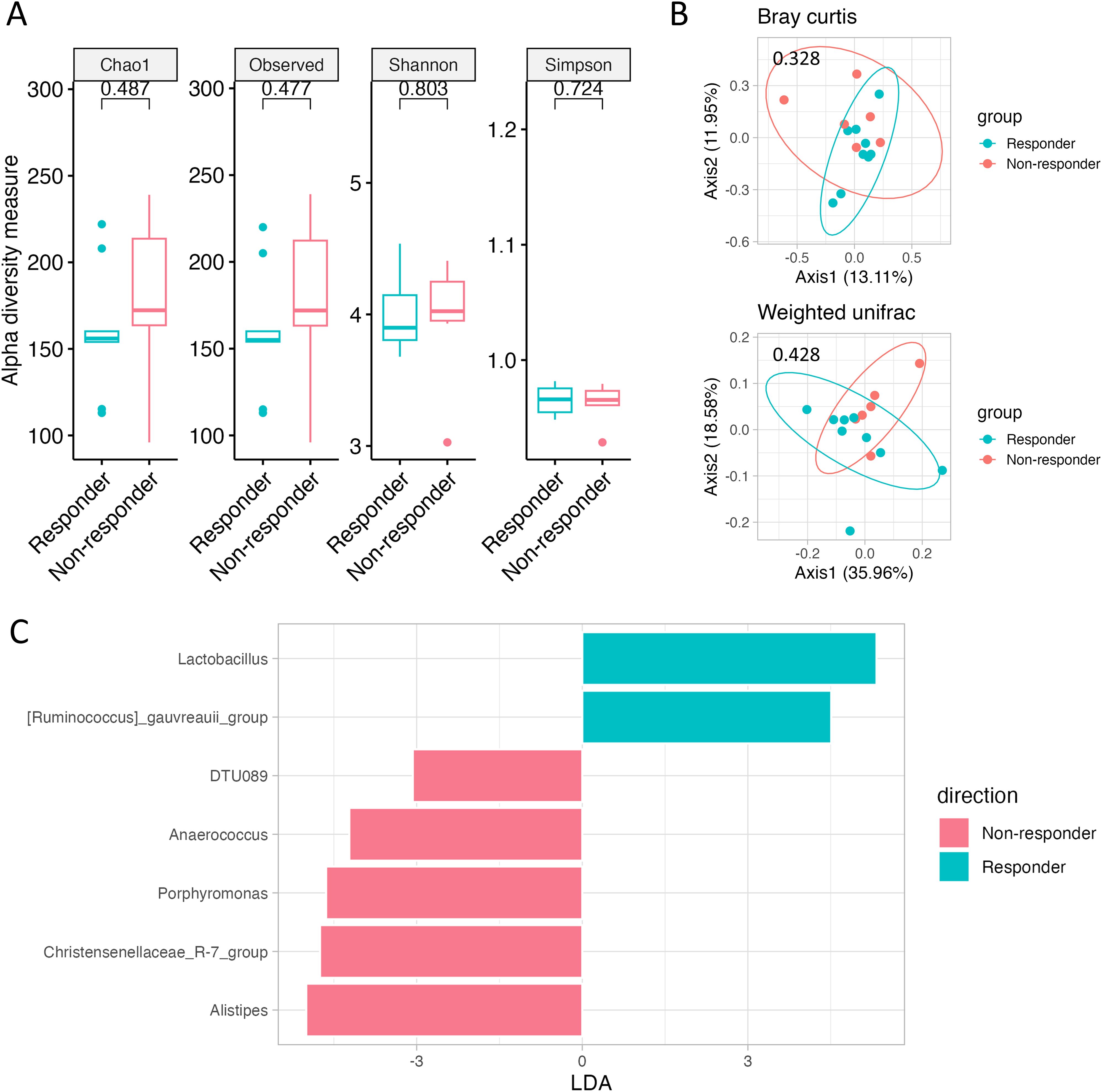 Panel A shows box plots comparing alpha diversity measures (Chao1, Observed, Shannon, Simpson) between responders and non-responders, with p-values marked. Panel B presents Bray-Curtis and Weighted Unifrac plots, clustering responders and non-responders; p-values are provided. Panel C is a bar chart of taxa with linear discriminant analysis (LDA) scores, showing differences between groups, identified by color.