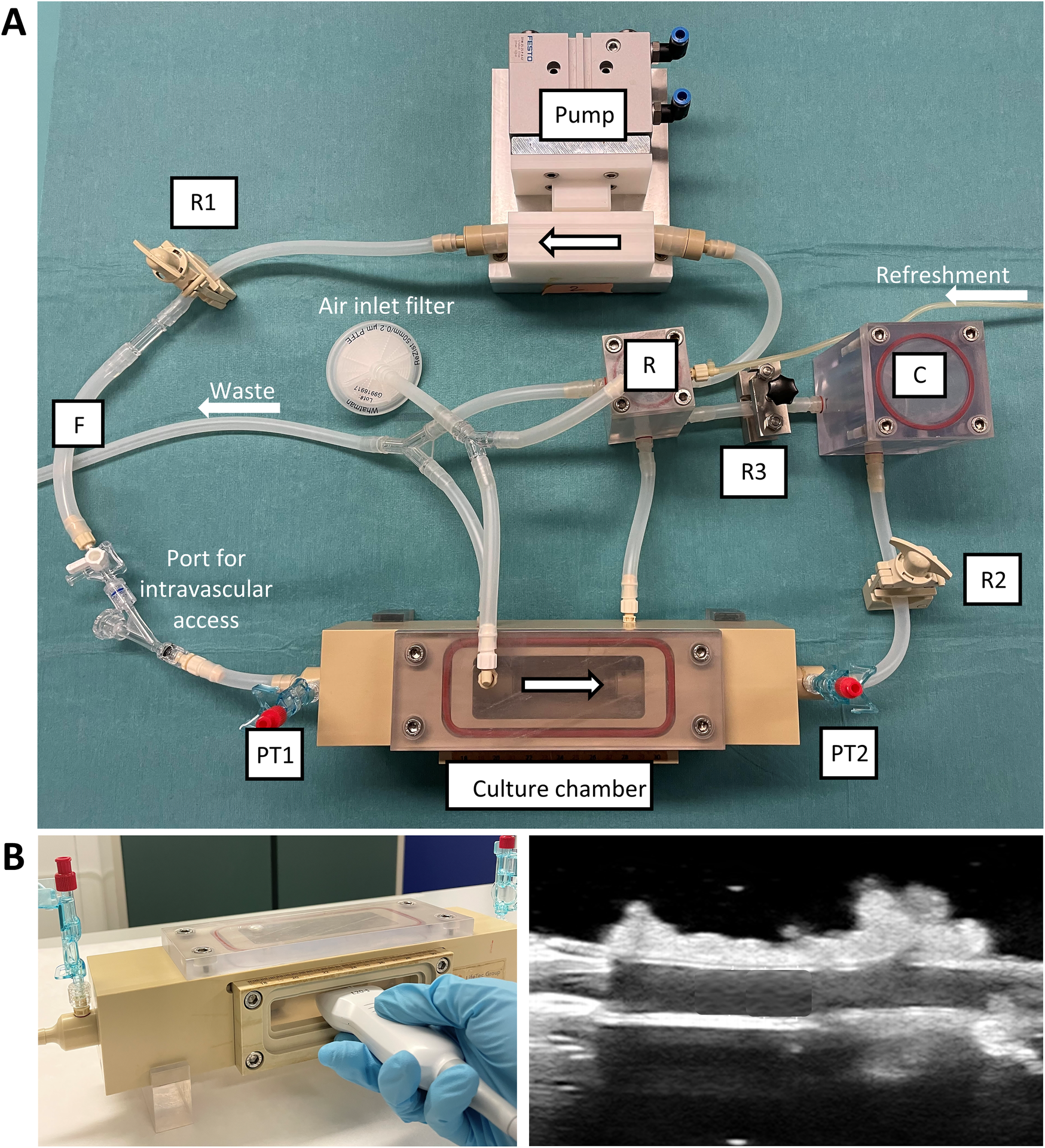 A collection of images showing the bioreactor and its connected parts needed to culture an artery (panel A). It shows how ultrasound can be used to monitor vascular anatomy during culture (panel B).