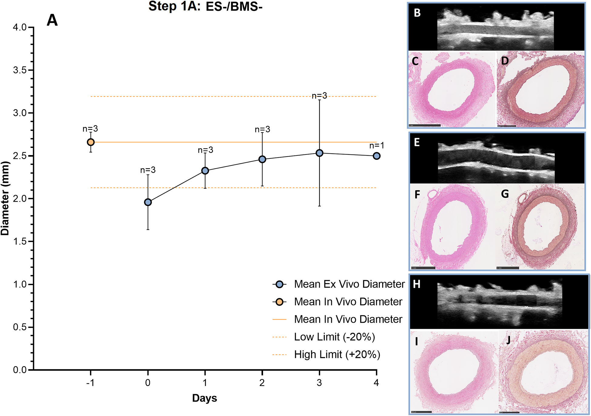 Graph titled \"Step 1A: ES-/BMS-\" showing diameter changes over days with mean ex vivo and in vivo diameters, along with high and low limits. Adjacent images labeled B, E, H show ultrasound scans. Images C, D, F, G, I, J depict histological cross-sections with various staining techniques, illustrating arterial structure. Each image is annotated with measurement details.