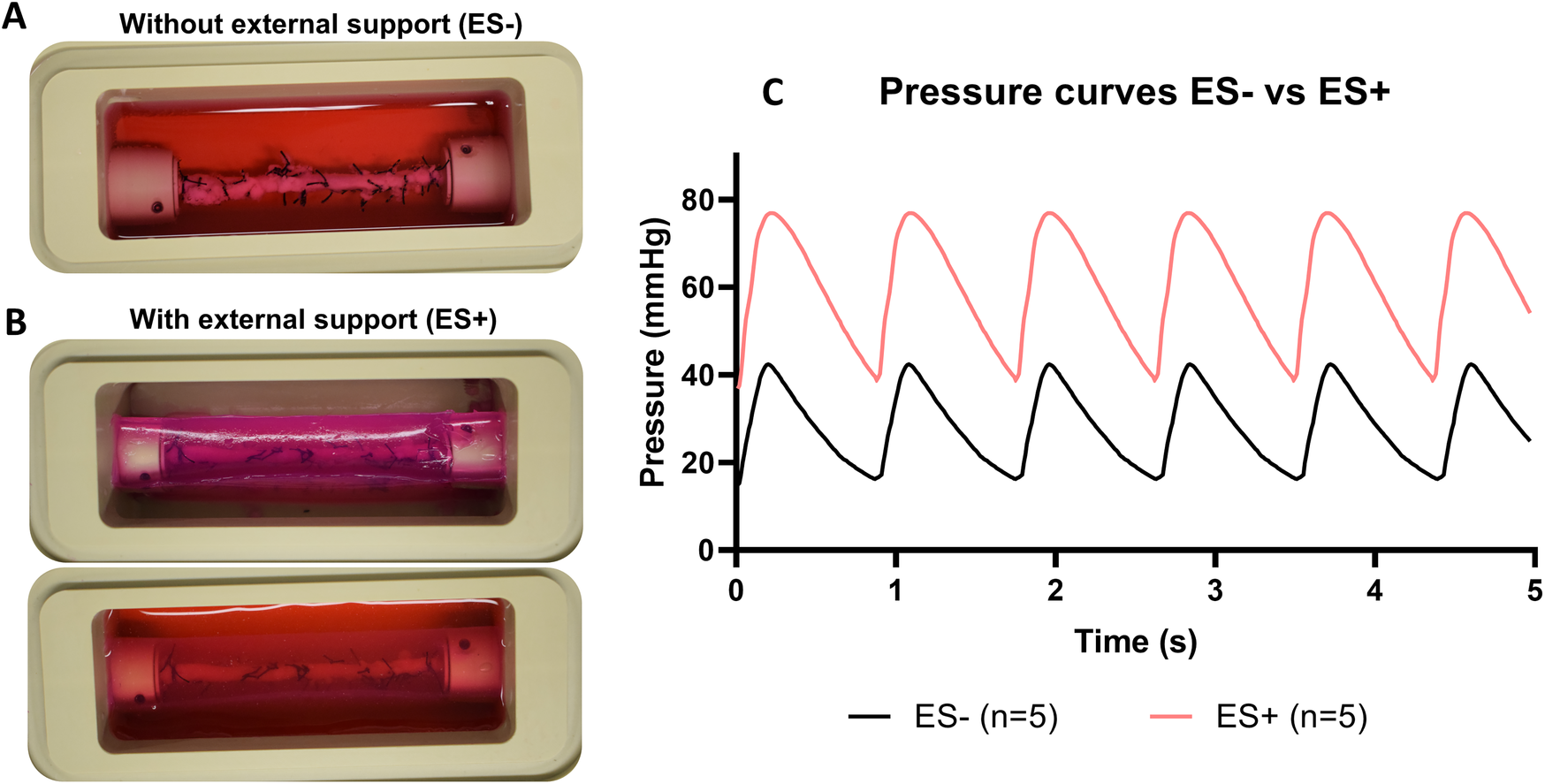 A composite image showing two setups and a graph. Panel A shows a tubular structure without external support (ES-), immersed in red liquid. Panel B shows the same structure with external support (ES+), in a pink liquid. Panel C is a line graph comparing pressure curves over time (in seconds) with pressure in mmHg. The red line represents ES+ and shows higher pressure peaks than the black line for ES-.