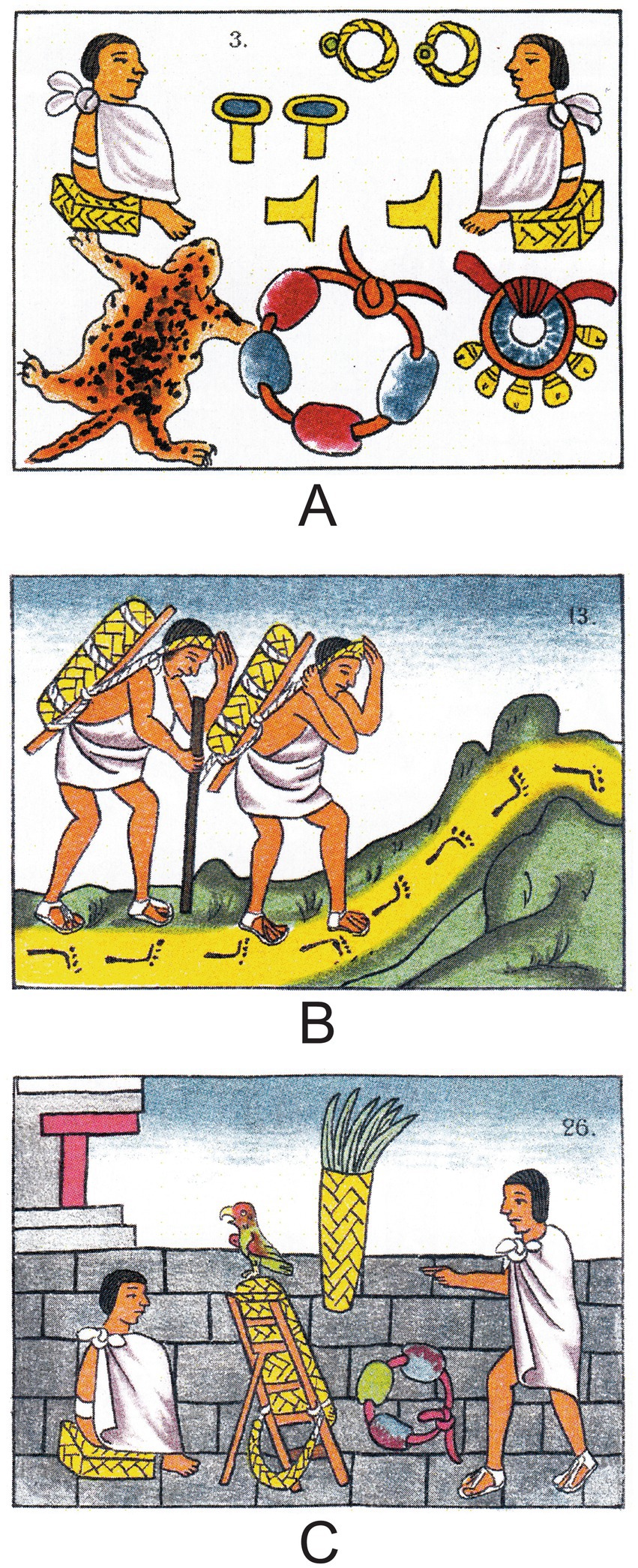 www.frontiersin.org