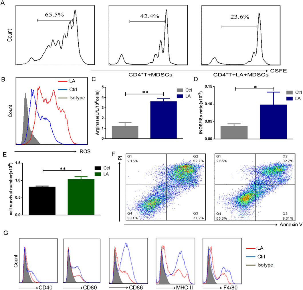 Flow cytometry data and bar graphs show immune cell analysis. Panel A illustrates CSFE dilution in CD4+T+MDSCs across three conditions. Panel B presents reactive oxygen species levels, with different treatments shown in red, blue, and gray. Panel C and D are bar graphs comparing Arginase and NOS expression in two groups, marked with asterisks for significance. Panel E shows cell survival numbers with significant differences. Panel F displays scatter plots of Annexin V versus PI for apoptosis analysis. Panel G compares expression levels of CD40, CD80, CD86, MHC-II, and F4/80 across treatments, using colored lines.