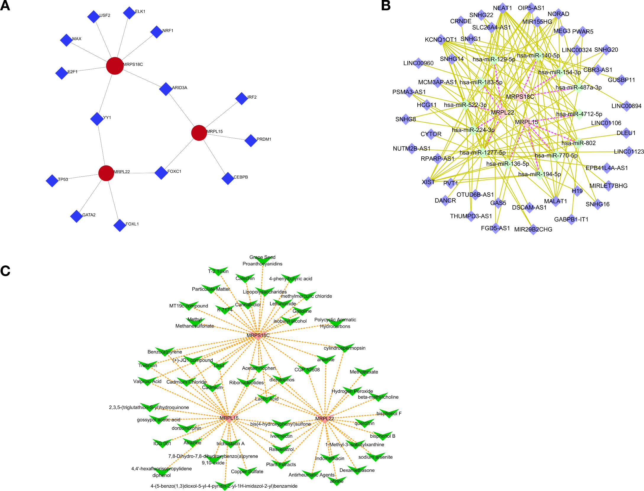 Diagram with three panels showcasing networks. Panel A displays a network with red circles linked to blue diamonds, labeled with gene names. Panel B shows a complex network of yellow lines connecting gene names in purple circles. Panel C features a network of orange lines connecting red circles to green nodes labeled with chemical names.