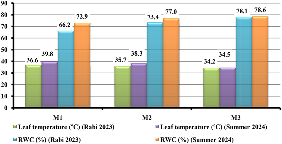 Bar chart showing leaf temperature and relative water content (RWC) for Rabi 2023 and Summer 2024 across three methods (M1, M2, M3). M1 has leaf temperatures of 36.6°C and 39.8°C, with RWCs of 66.2% and 72.9%. M2 has temperatures of 35.7°C and 38.3°C, with RWCs of 73.4% and 77.0%. M3 has temperatures of 34.2°C and 34.5°C, with RWCs of 78.1% and 78.6%.