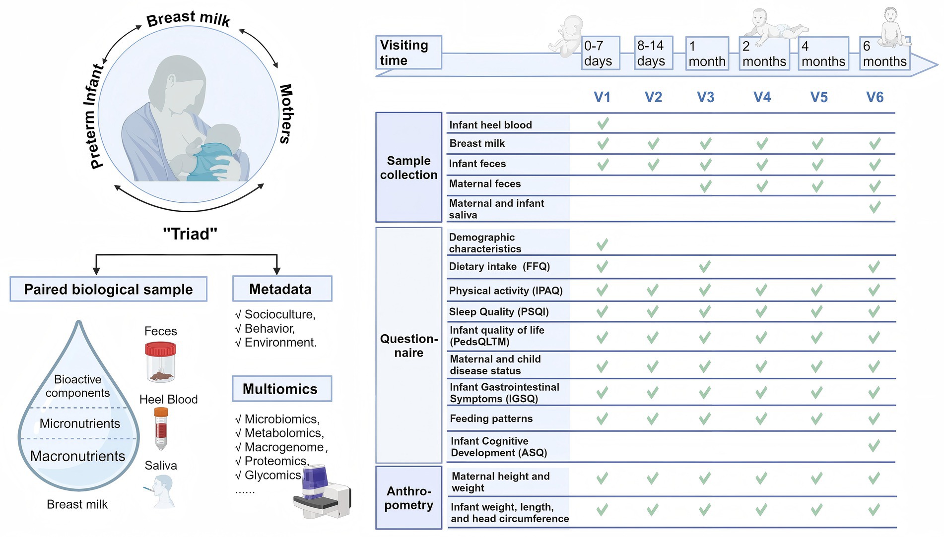 This diagram illustrates the design of the YI cohort study, which involves a