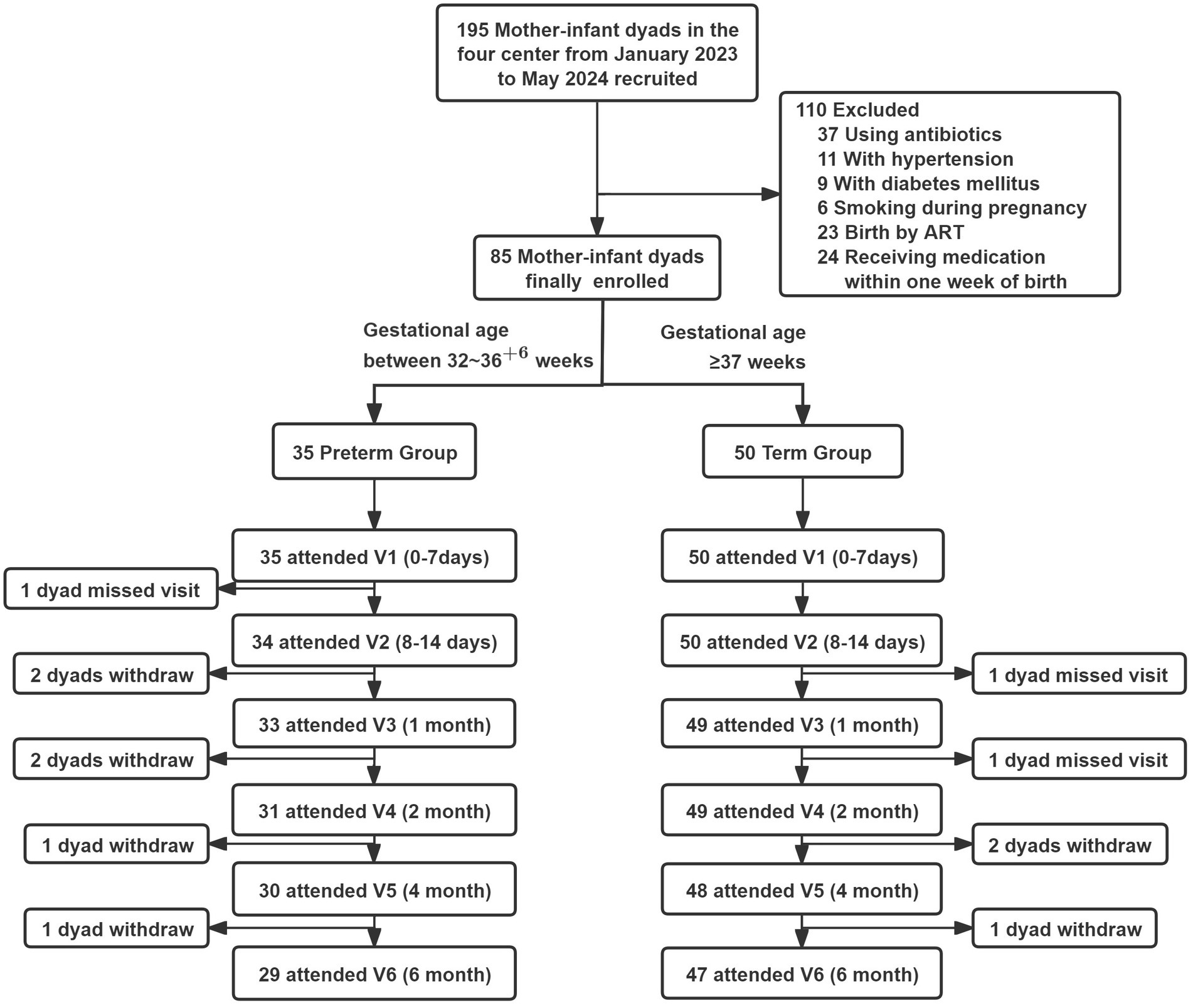Flowchart detailing the enrollment and follow-up of mother-infant dyads. Initially, 195 dyads were recruited, with 110 excluded for reasons like antibiotic use, hypertension, diabetes, smoking, ART birth, and medication within a week of birth. Eighty-five dyads were enrolled, split into a preterm group (35 dyads, gestational age 32-36 weeks) and term group (50 dyads, gestational age 37 weeks or more). Both groups attended scheduled visits from birth to six months, with some dyads missing visits or withdrawing over time.