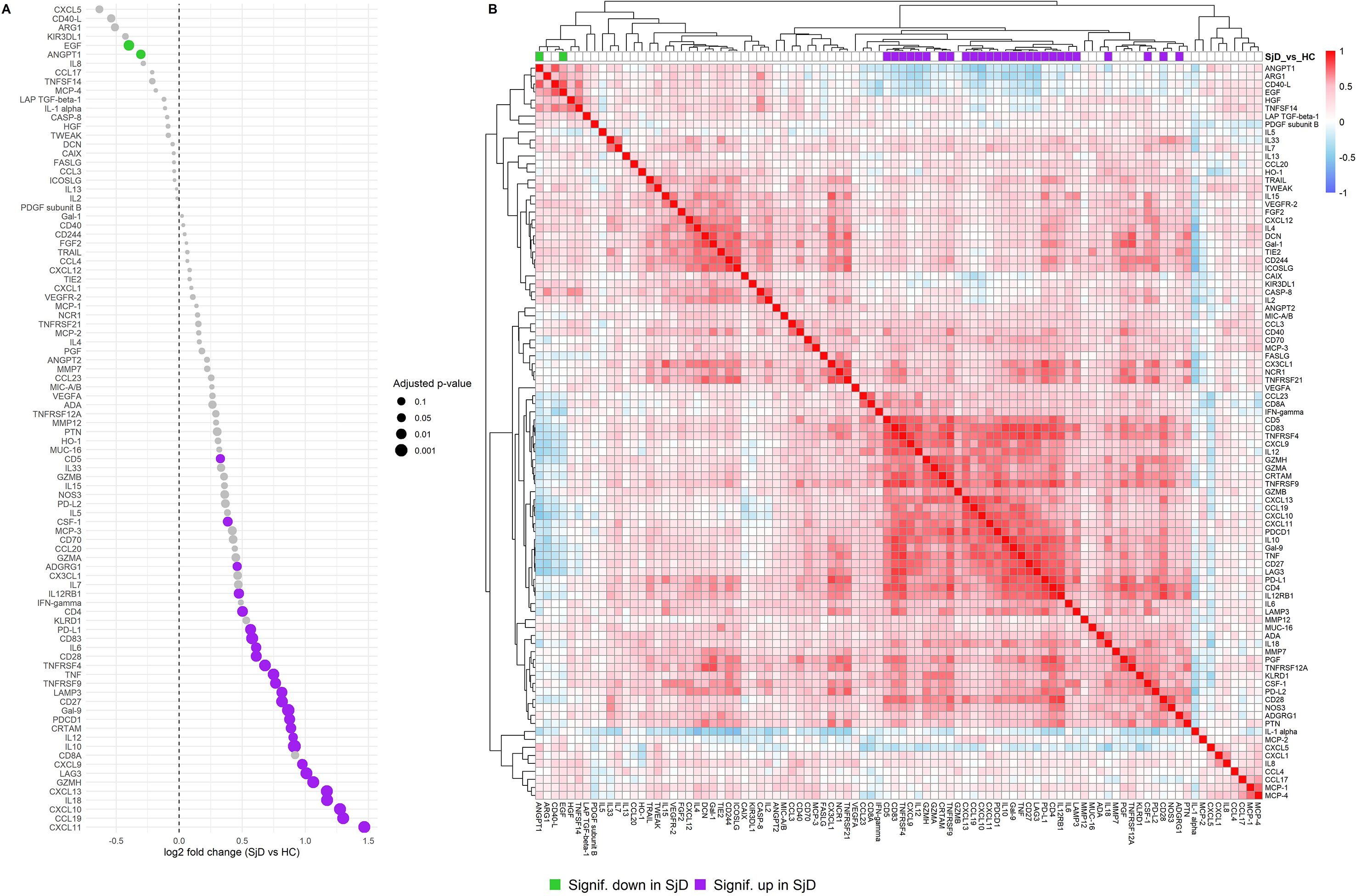 Dot plot and heatmap comparing baseline protein levels between patients with Sjögren’s disease and healthy controls, showing significantly over- and under-expressed proteins at baseline and clustering of over-expressed proteins.