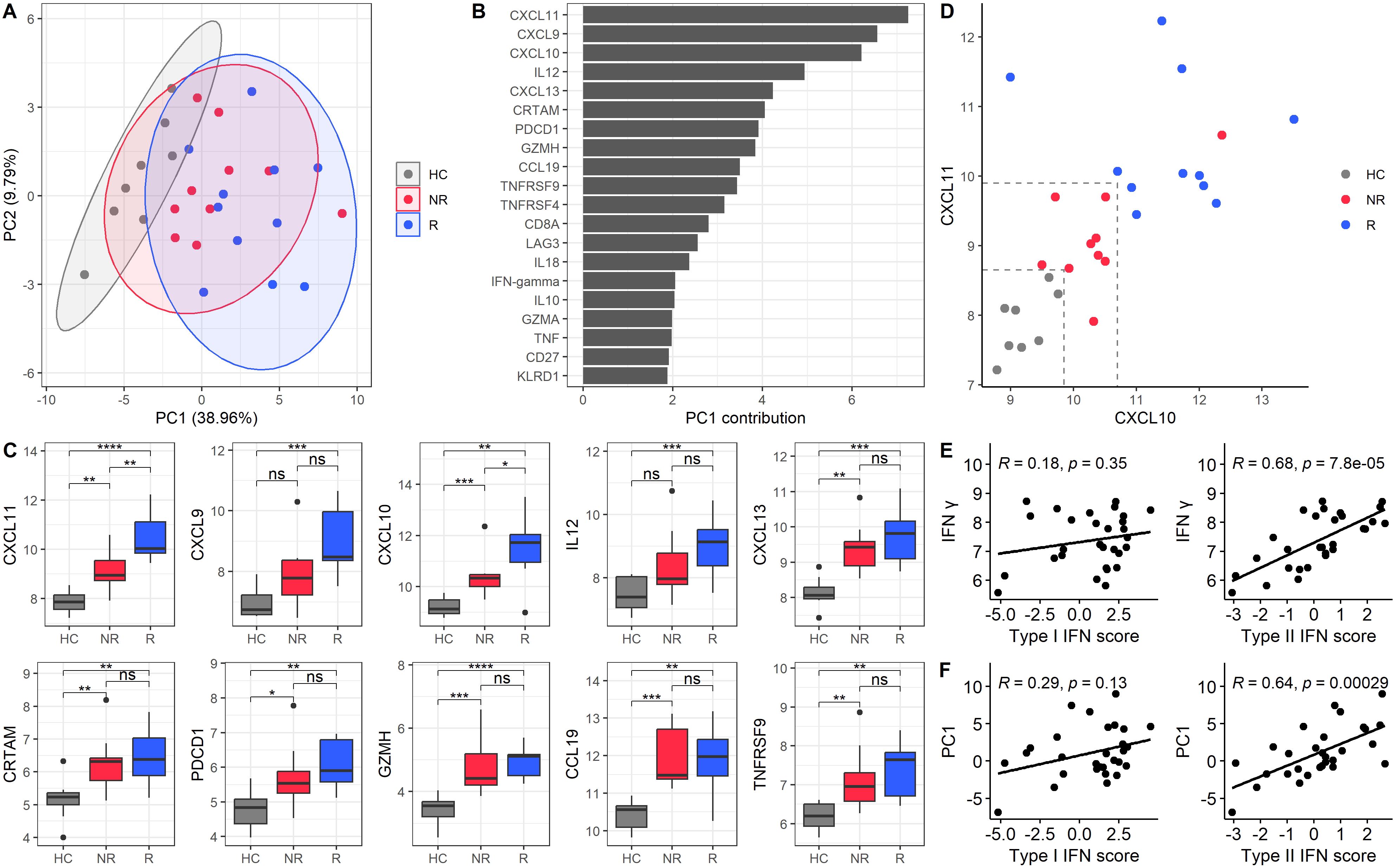 A principal component analysis plot showing two principal components and the top loadings of the first principal component. A scatter plot illustrates that two proteins can distinguish healthy controls from patients with Sjögren’s disease, and responders from non-responders. Additional scatter plots show the correlation between the type II IFN score and IFN-γ.