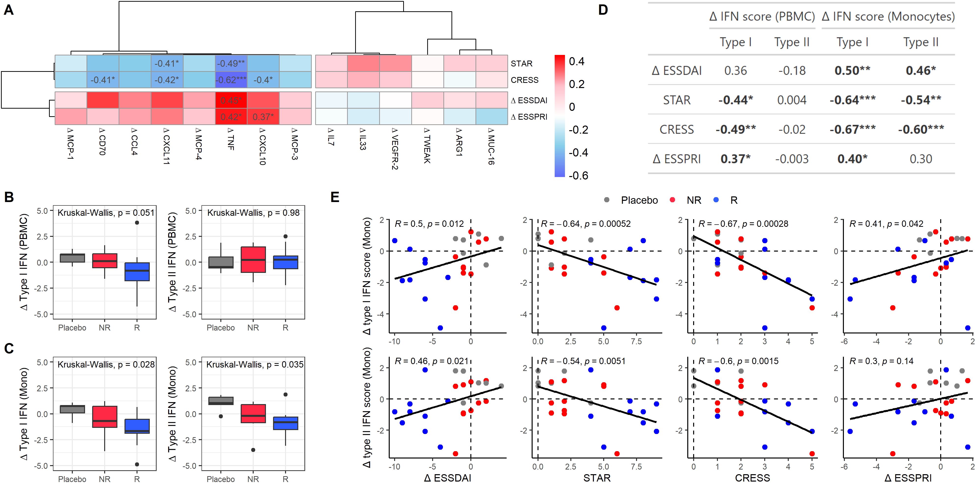 Heatmaps and scatter plots illustrating correlations between protein changes and clinical outcomes, as well as correlations between clinical outcomes and the type I and type II IFN scores in PBMCs and monocytes. Box plots showing changes in type I and type II IFN scores in PBMC and monocytes in placebo, non-responders and responders.
