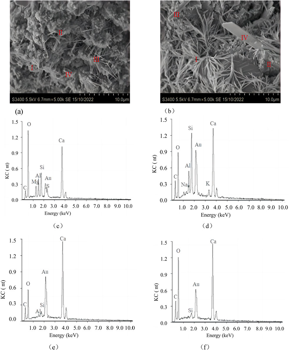 Two SEM images labeled (a) and (b) show different magnifications of a sample with regions I to IV marked. Below are four Energy Dispersive Spectroscopy (EDS) spectra labeled (c) to (f). Each chart displays peaks for elements like oxygen (O), silicon (Si), aluminum (Al), gold (Au), calcium (Ca), and others measured in kiloelectronvolts (keV). The peaks indicate the presence of these elements in the sample.