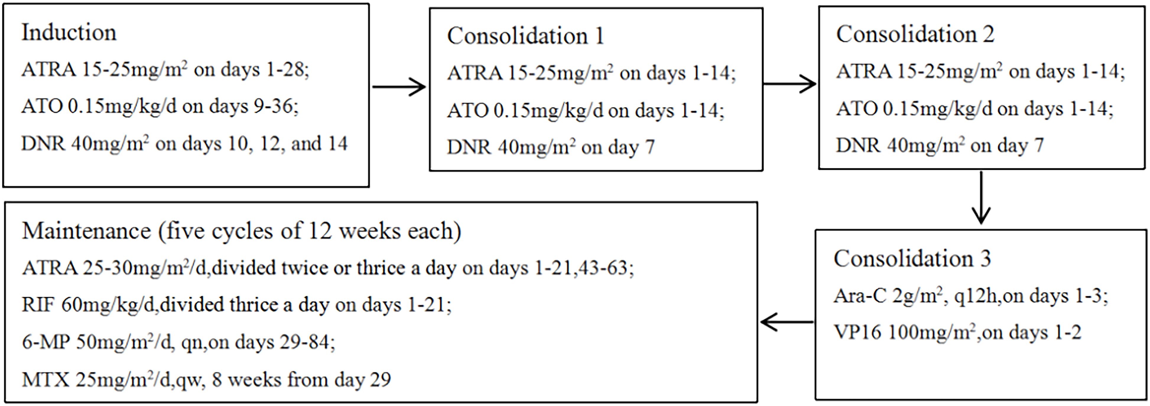 Flowchart of a chemotherapy regimen detailing Induction, three phases of Consolidation, and Maintenance. Induction includes ATRA, ATO, and DNR. Consolidation 1 and 2 involve similar drugs and dosage timings. Consolidation 3 includes Ara-C and VP16. Maintenance consists of ATRA, RIF, 6-MP, and MTX divided into five cycles of twelve weeks each.
