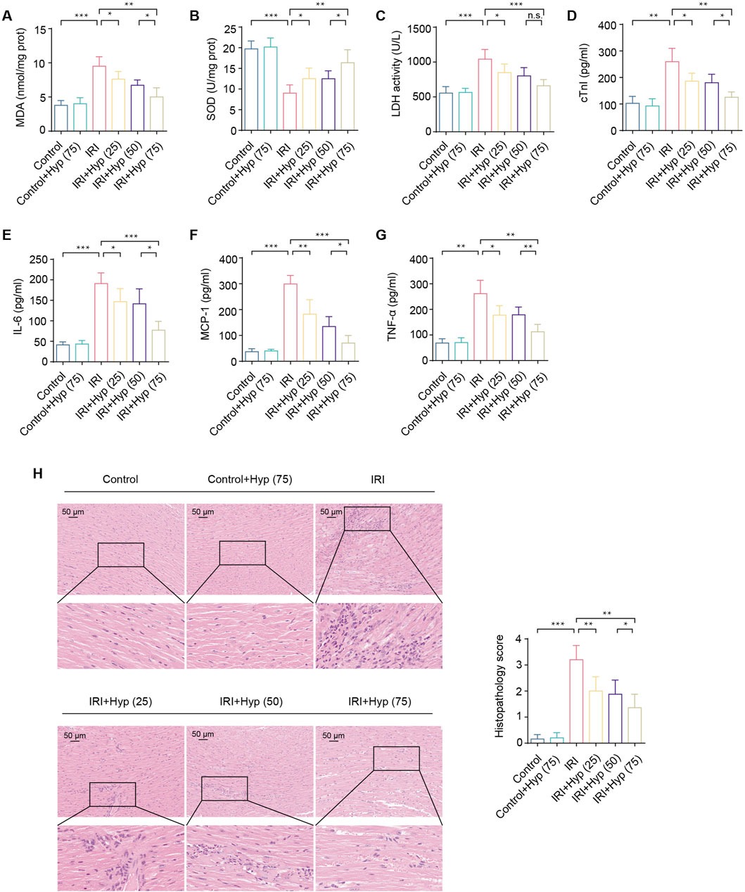 Bar graphs and images illustrating biochemical and histological changes across various conditions. Graphs A to G display levels of MDA, SOD, LDH, cTnI, IL-6, MCP-1, and TNF-α, respectively, with significant differences marked. Panel H presents histological images from control and experimental groups showing tissue differences, supported by a histopathology score chart indicating statistical variations.
