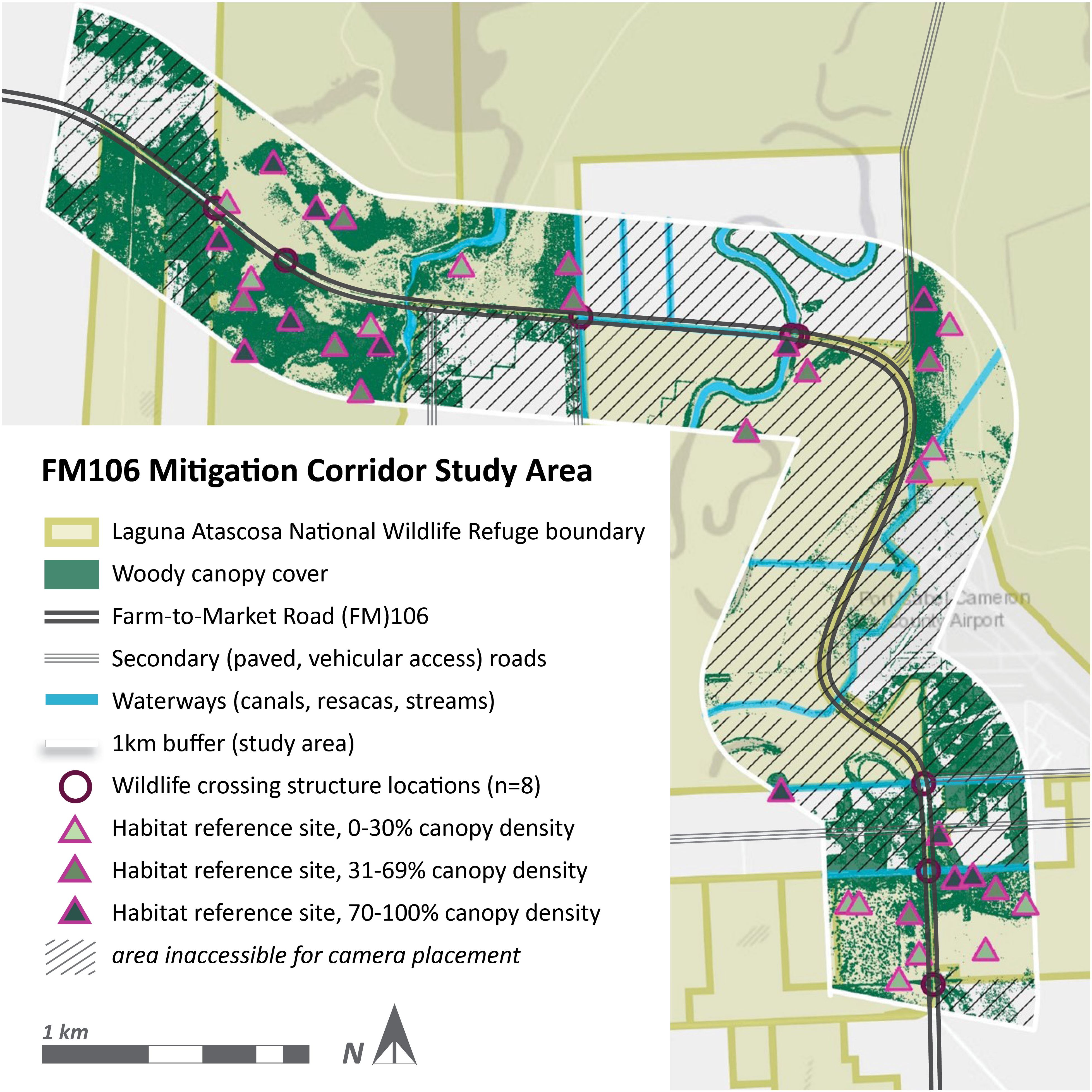 Map showing the FM106 Mitigation Corridor Study Area, highlighting the Laguna Atascosa National Wildlife Refuge boundary, woody canopy cover, Farm-to-Market Road (FM106), secondary roads, waterways, and habitat reference sites categorized by canopy density. Includes locations for wildlife crossing structures and denotes areas inaccessible for camera placement. A scale and compass are provided.