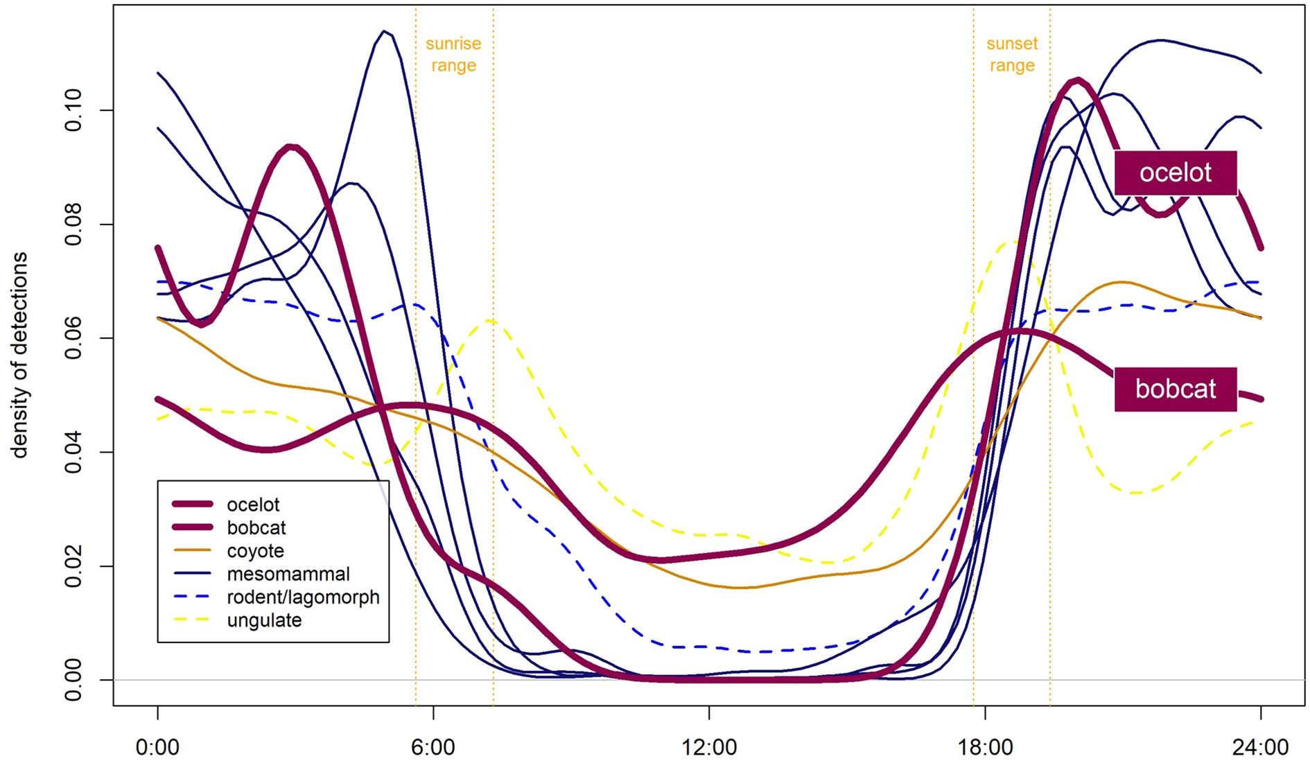 A line graph compares the diel activity patterns of multiple taxa, by displaying the corresponding density of camera detections for each taxa over a 24-hour cycle. Approximate sunrise and sunset ranges are also depicted for context. Ocelot and bobcat diel activity are highlighted, with ocelot detections displaying a strong nocturnal pattern whereas bobcat detections occur throughout the day-night cycle with slight increases in activity around dawn and dusk. Coyotes and ungulates show a similar activity pattern to bobcats, rodents and lagomorphs (grouped together) show slightly more nocturnal activity, and various other meso-mammals (grouped together) show fairly strict nocturnal activity patterns, with some activity spikes around dawn and just after dusk.