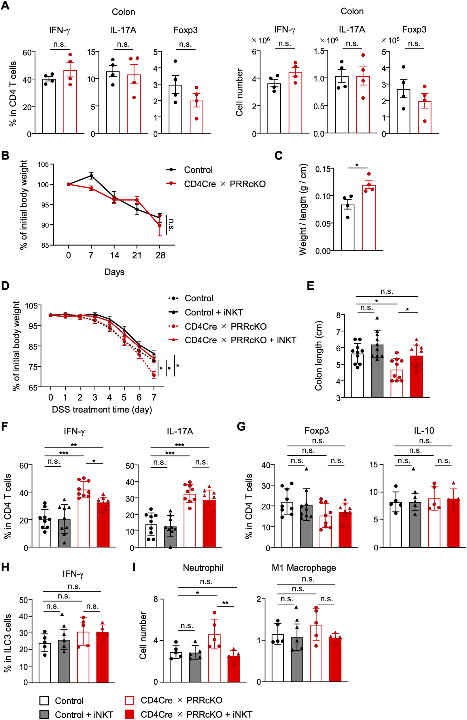 A series of graphs showing immune responses in experimental and control groups, including CD4 T cell percentages and cytokine levels such as IFN-γ and IL-17A. Panels A, F, G, and H display bar charts, whereas B and D show line graphs of body weight changes over time, highlighting differences across groups. Panel C indicates weight-to-length ratios, and panel E shows colon lengths. Statistical significance is noted with symbols, and comparisons are made between groups such as Control, CD4Cre, PRRcKO, and their combinations with iNKT. Error bars represent variability, and “n.s.” denotes not significant.