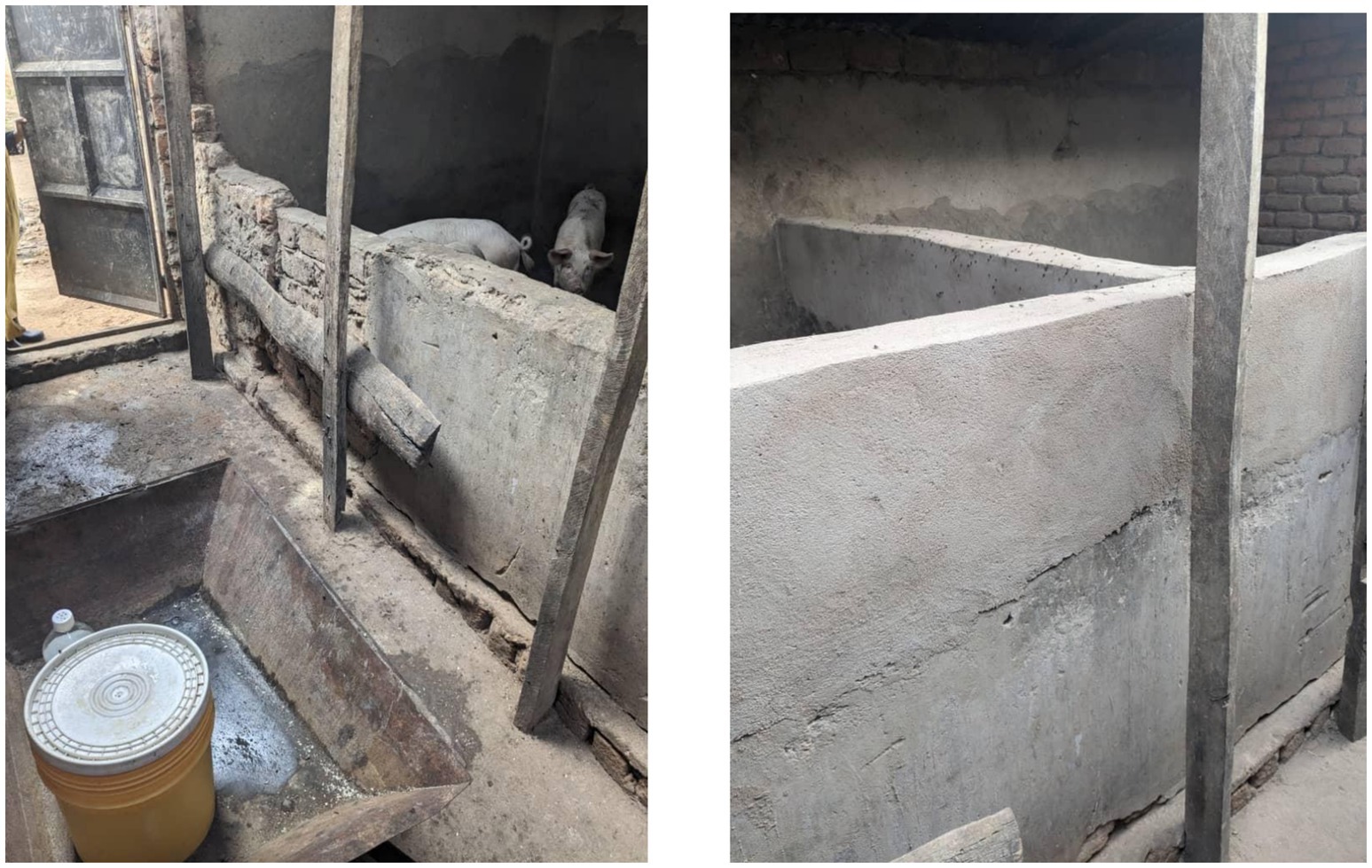 Left image shows a small enclosed area with pigs behind a concrete barrier and an open metal door. A yellow container with a lid sits in the foreground. Right image depicts a concrete enclosure with dividing walls inside a partially constructed building.