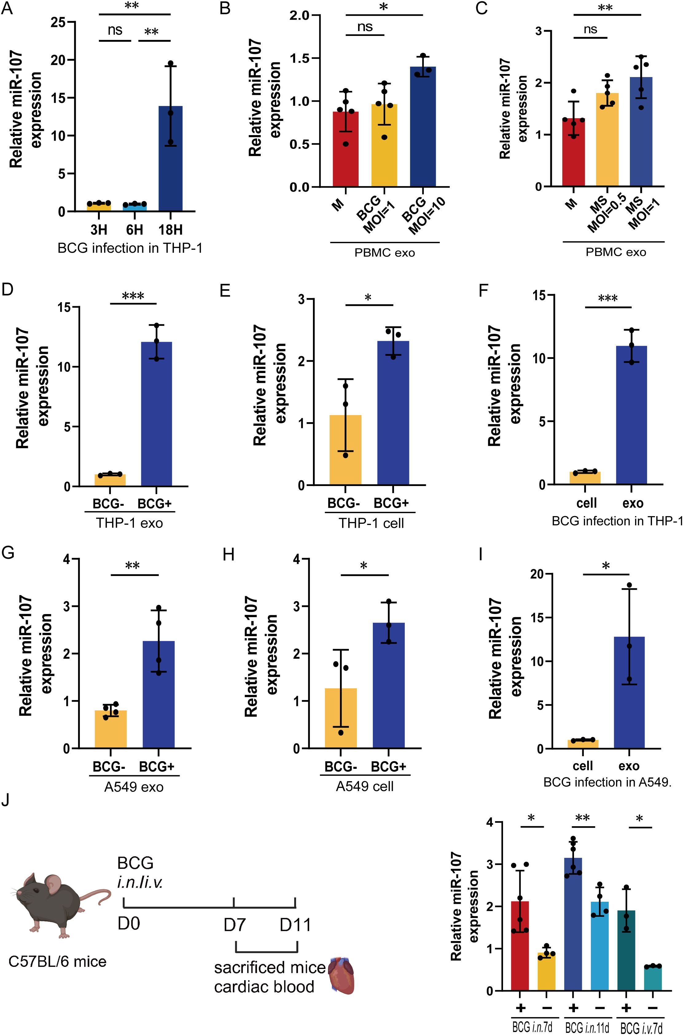 Graphs display relative miR-107 expression under various conditions. Charts A to I depict expression levels in THP-1 and A549 cells with BCG infection, showing increases over time or with higher BCG MOI. Panel J outlines an experimental timeline using C57BL/6 mice with BCG treatment, indicating miR-107 expression change on days 7 and 11. Statistical significance is marked by asterisks: *p < 0.05, **p < 0.01, ***p < 0.001. Error bars indicate standard deviations.