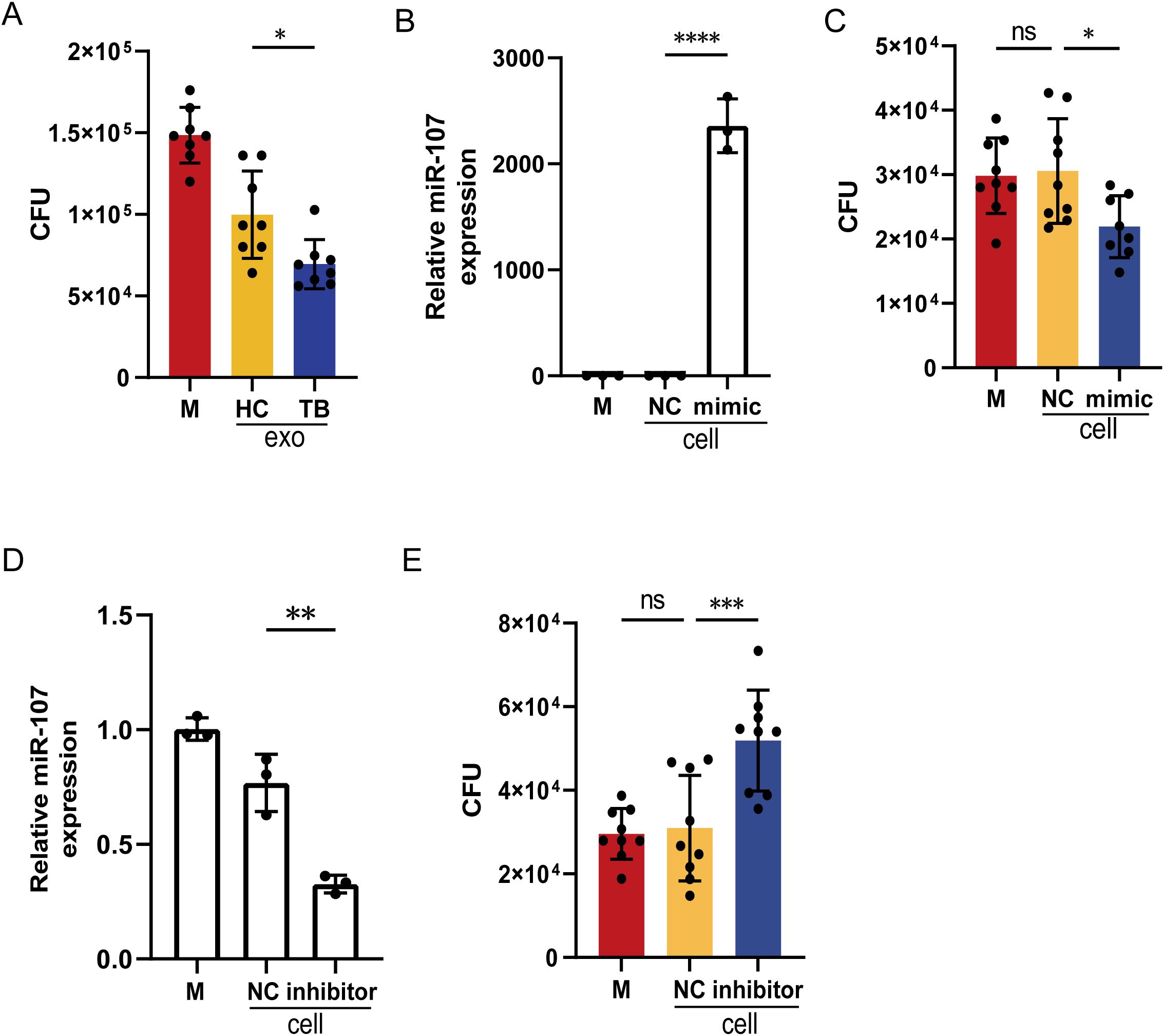Bar graphs depicting various experimental conditions: A shows CFU levels for M, HC, and TB with a significant decrease in TB. B shows increased miR-107 expression in NC mimic cells. C shows CFU levels with a significant decrease in mimic. D depicts miR-107 expression with a decrease in inhibitor cells. E shows increased CFU levels in inhibitors cells compared to NC. Statistical significance is indicated with asterisks.