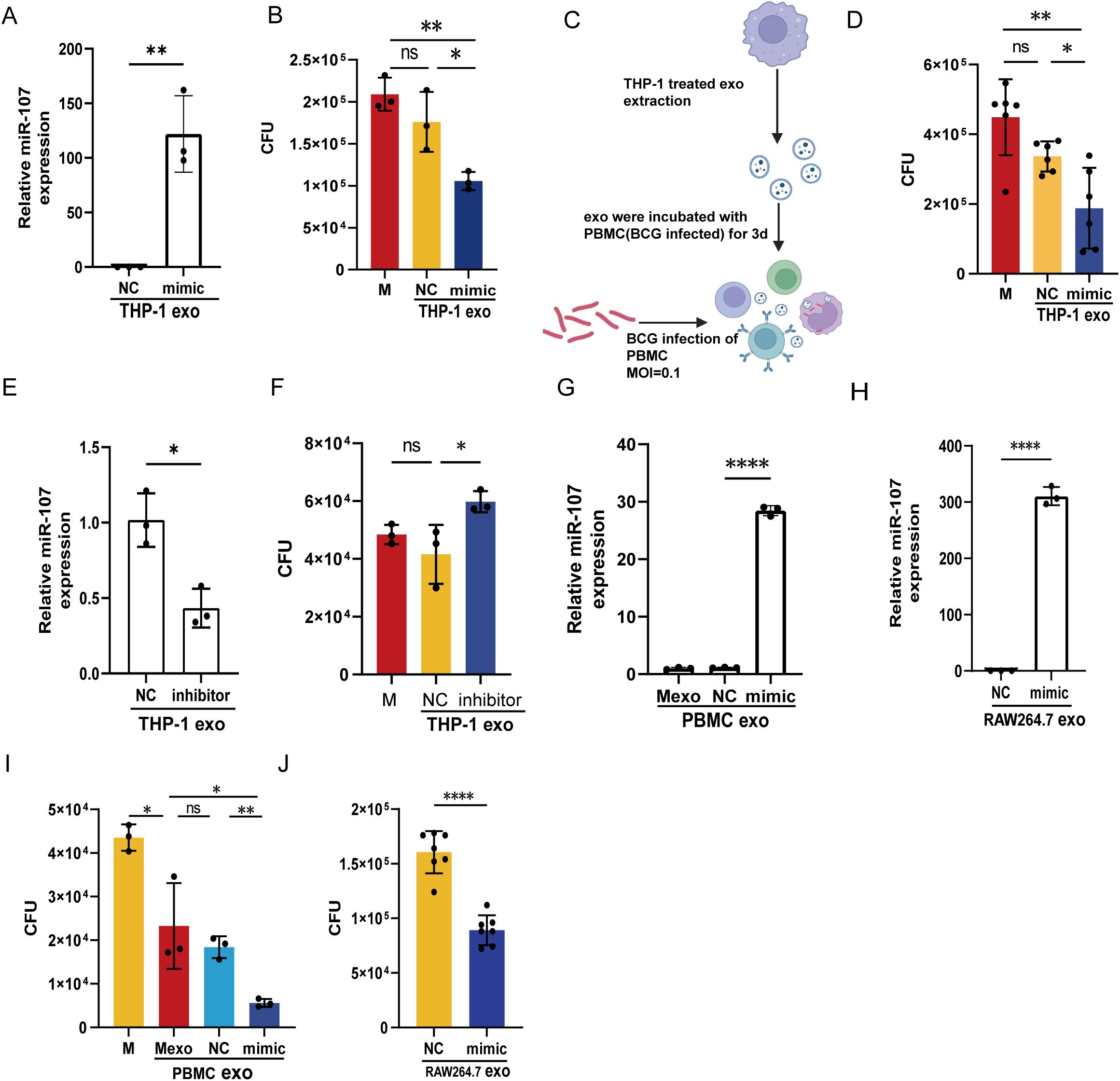 Panel of scientific graphs and a diagram analyzing miR-107 expression and CFU counts in different experimental setups. Graphs A, E, G, and H show relative miR-107 expression with varying significance markers. Graphs B, D, F, I, and J display CFU counts, indicating bacterial growth across conditions with markers for significance. The diagram in C illustrates the experimental procedure involving exosome extraction and BCG infection. Significance is indicated by asterisks, with “*”, “**”, “****”, and 'ns' denoting various levels. Bars represent means with error bars showing variation.