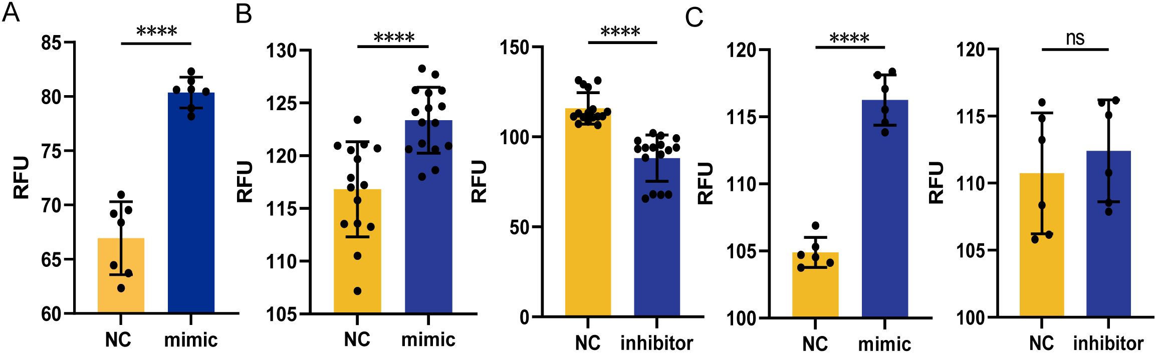 Bar graphs labeled A, B, and C compare RFU values for different conditions: NC (yellow bar) and mimic or inhibitor (blue bar). Graph A shows higher RFU for mimic; graph B shows higher RFU for mimics compared to NC; graph C shows higher RFU for mimics compared to NC. Significance levels are shown as asterisks, with **** indicating high significance and ns indicating no significance.