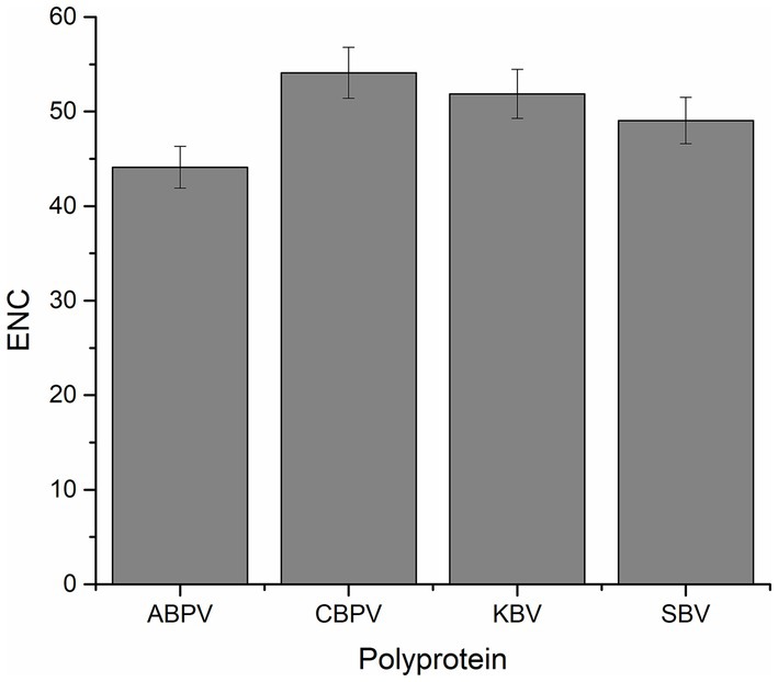 Bar chart showing ENC values for four polyproteins: ABPV, CBPV, KBV, and SBV. ENC values range from approximately 40 for ABPV to nearly 55 for both CBPV and SBV, with KBV slightly lower. Error bars indicate variability.