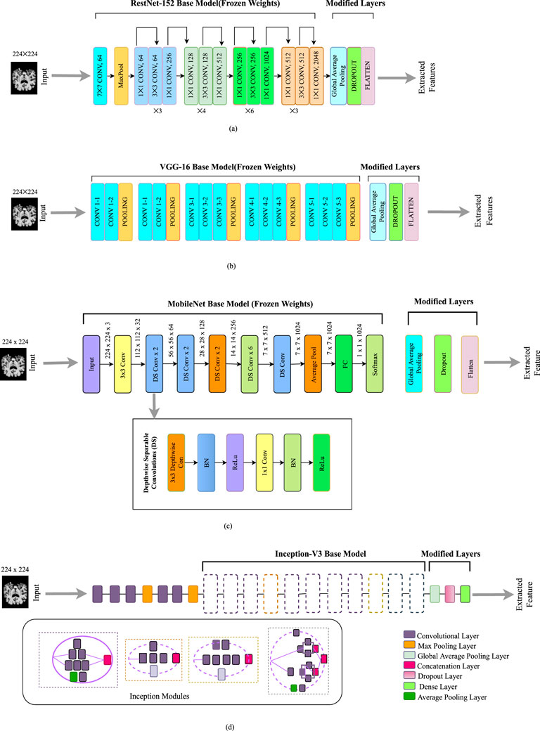 Diagram illustrating four deep learning models: (a) ResNet-152 features convolutional layers and modified layers for feature extraction. (b) VGG-16 shows sequential convolutional and pooling layers with a similar modification for extraction. (c) MobileNet utilizes depthwise separable convolutions and pooling, leading to extraction layers. (d) Inception-V3 highlights stacked inception modules with modified layers for features. Each model processes a 224x224 input image, outputting extracted features.