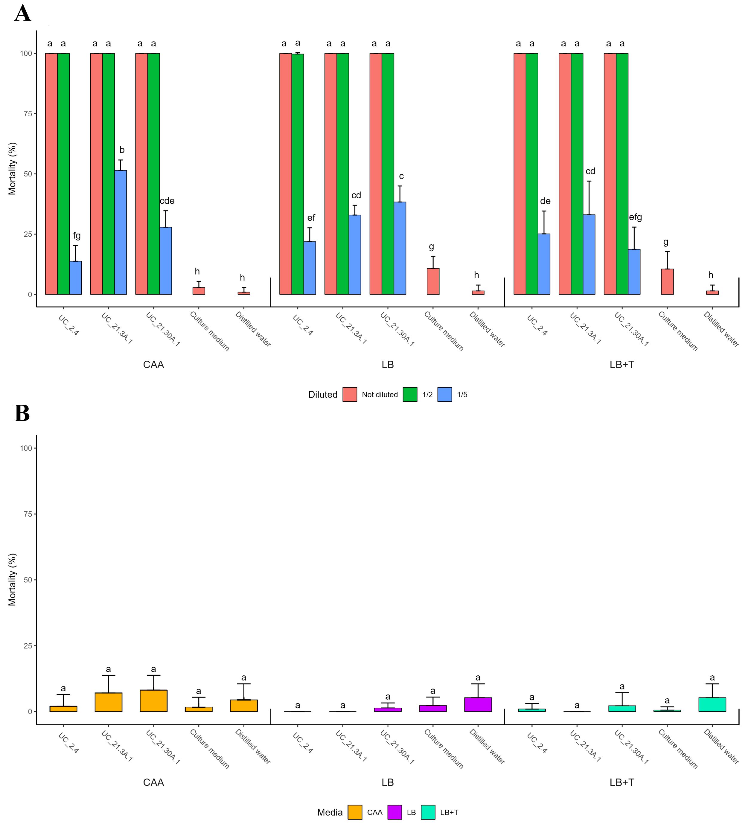 Bar charts labeled A and B depicting mortality percentages under different media formulations: CAA, LB, and LB+T. Chart A shows bars with different dilution levels, indicated by red (not diluted), green (one-half), and blue (one-fifth). Chart B uses orange, purple, and green to represent CAA, LB, and LB+T media, respectively. Error bars indicate variability, while letters a to h denote statistical significance.