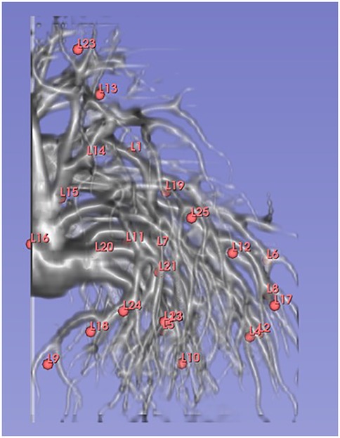 Three-dimensional rendering of a complex network resembling tree branches or neural pathways on a blue background. Several points are labeled with red markers, each marked with an \