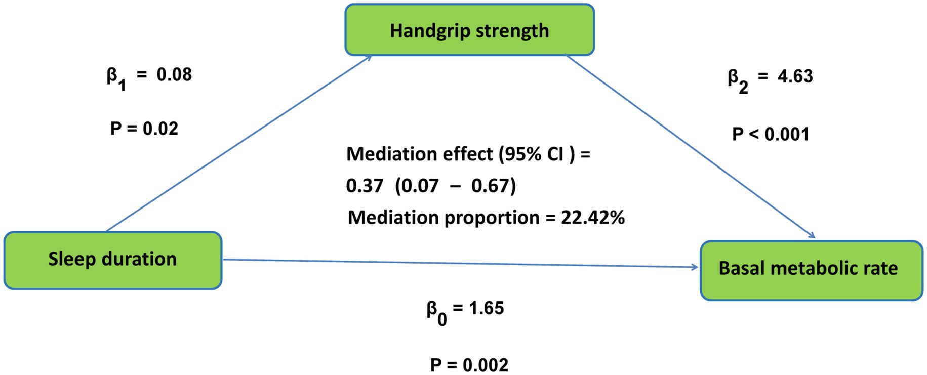 Diagram showing relationships between sleep duration, handgrip strength, and basal metabolic rate. Sleep duration influences handgrip strength and basal metabolic rate, with beta values of 0.08 (p = 0.02) and 1.65 (p = 0.002) respectively. Handgrip strength affects basal metabolic rate with a beta value of 4.63 (p < 0.001). The mediation effect is 0.37 (95% confidence interval: 0.07 to 0.67) with a mediation proportion of 22.42%.