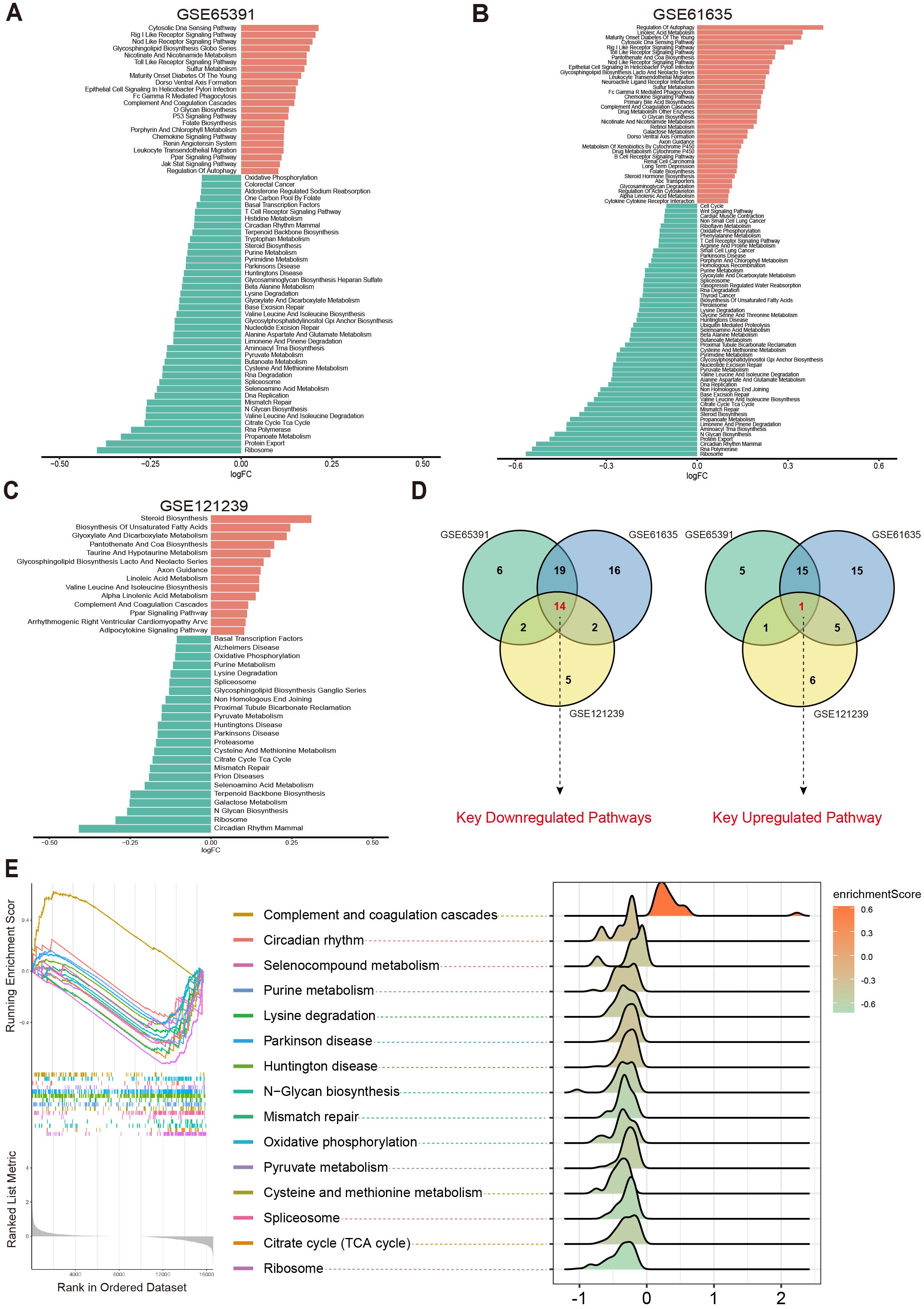 Grouped images showcasing gene set enrichment analysis. Panels A, B, and C display bar charts of log fold change for different pathways in datasets GSE65391, GSE61635, and GSE121239. Panel D includes Venn diagrams indicating shared downregulated and upregulated pathways among these datasets. Panel E features enrichment rankings and density plots for various metabolic and cellular processes, with color-coded lines representing different pathways.