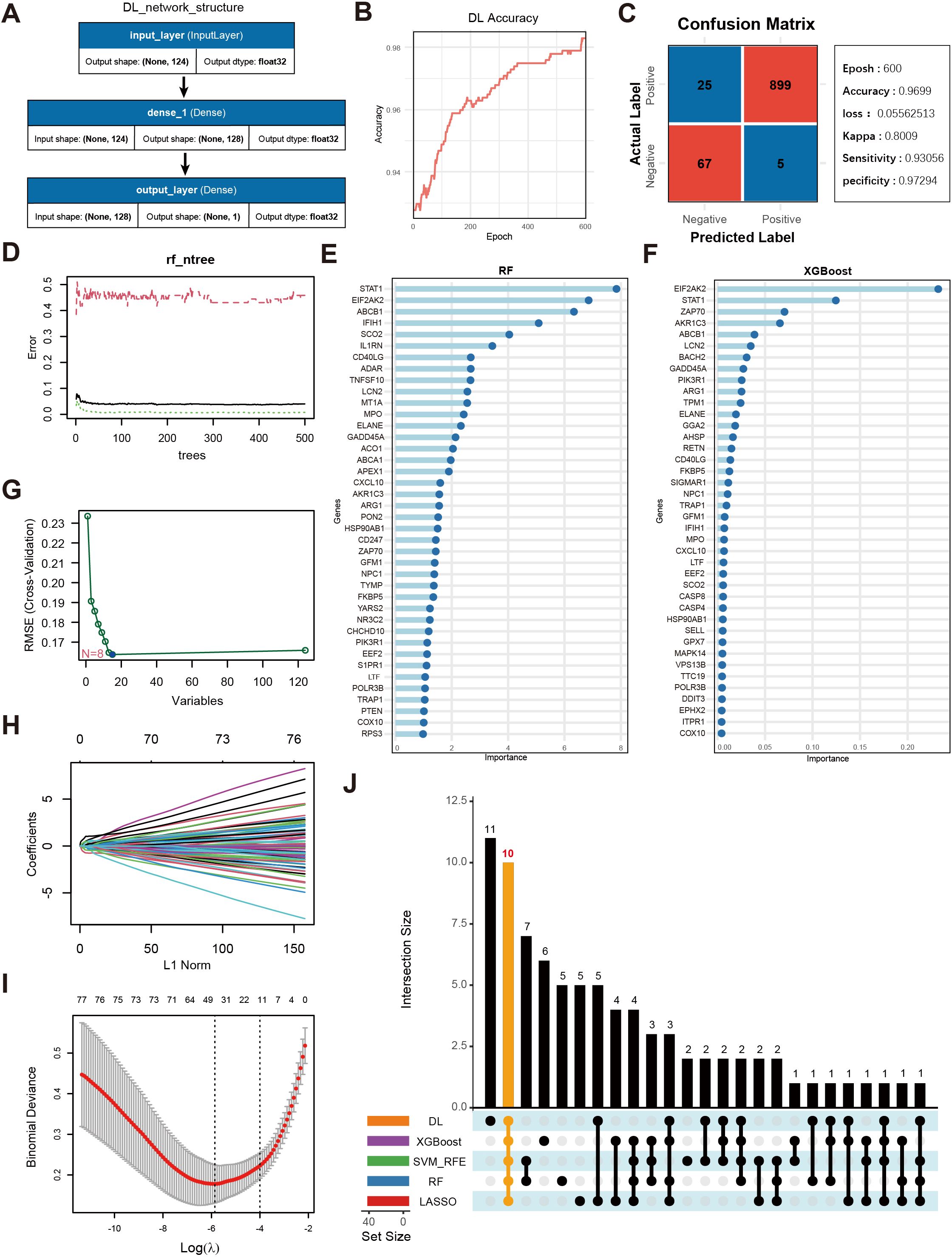 A composite image features multiple panels related to machine learning analysis. Panel A shows a neural network structure with layers labeled by type and shape. Panel B presents a line chart of deep learning accuracy across epochs. Panel C is a confusion matrix depicting classification results with accuracy, loss, kappa, sensitivity, and specificity values. Panel D displays a line plot of error rates over trees for a random forest model. Panels E and F are bar charts showing feature importance in random forest and XGBoost models, respectively. Panel G includes a plot related to cross-validation error. Panel H shows a plot of coefficients in a LASSO model over L1 norms. Panel I presents a plot of binomial deviance versus log lambda values. Panel J is an intersection size bar plot comparing different models: DL, XGBoost, SVM_RFE, RF, and LASSO.