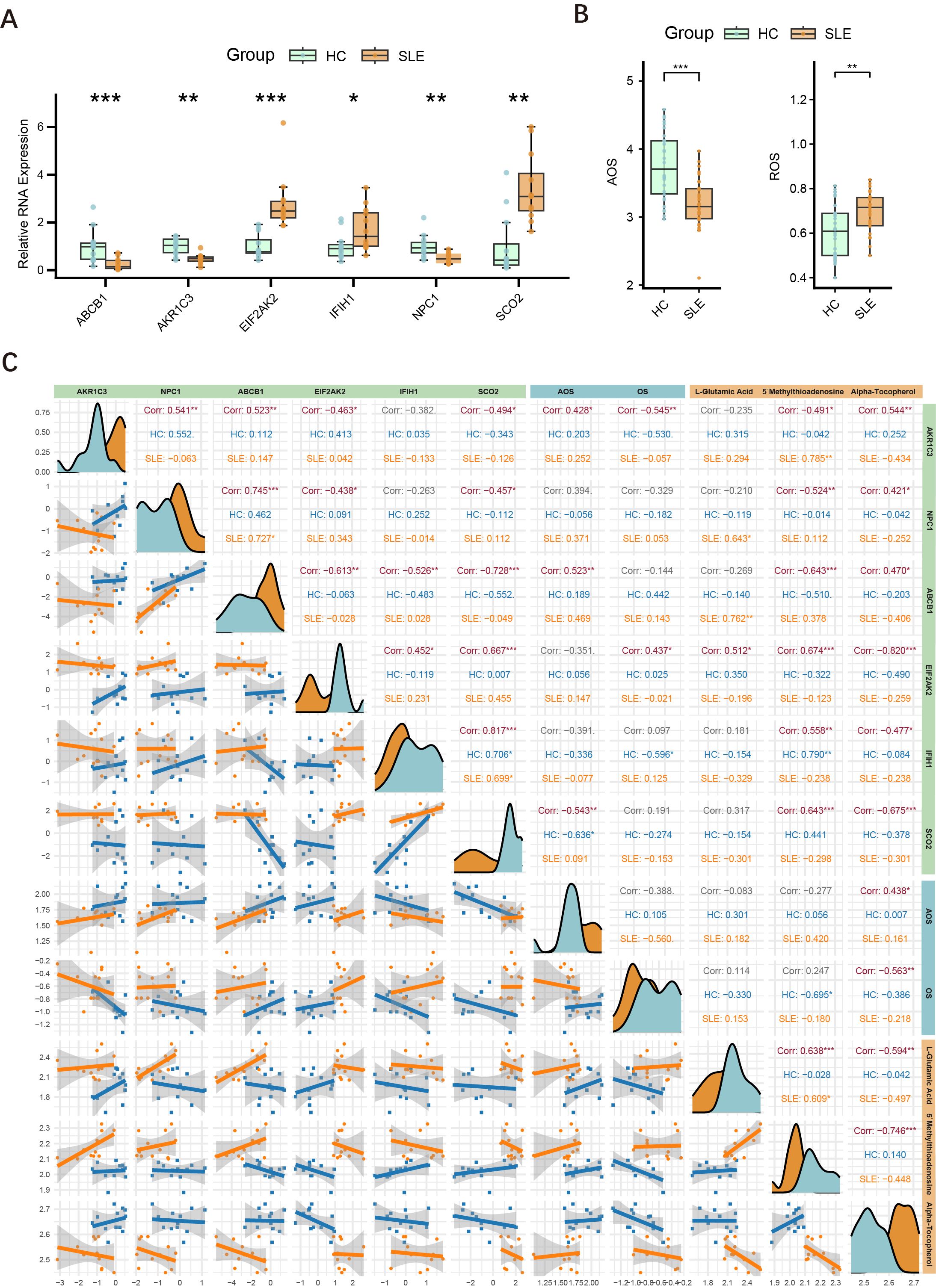 Box plots and scatter plots comparing gene expressions and correlations between healthy controls (HC) and systemic lupus erythematosus (SLE) patients. Panel A shows box plots for genes ABCB1, AKR1C3, EF2AK2, IFIH1, NPC1, and SCO2, with statistically significant differences marked by asterisks. Panel B presents box plots for AOS and ROS levels. Panel C displays correlation matrices with scatter plots, showing distributions and linear regression lines for various biomarkers in both HC and SLE groups.