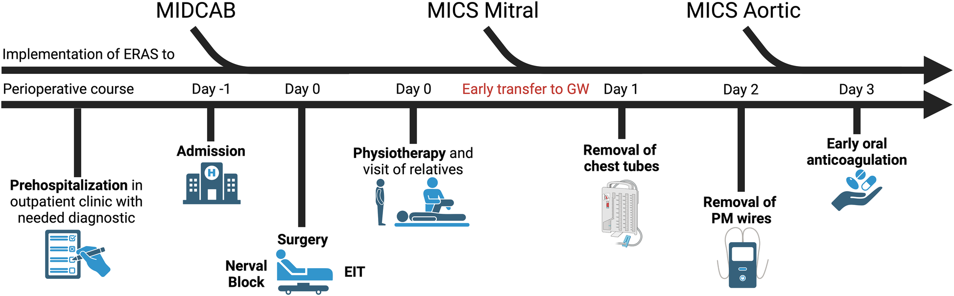 Timeline illustrating perioperative course for minimally invasive cardiac procedures: Day -1 includes prehospitalization in an outpatient clinic. Day 0 features admission, surgery with nerve block, and physiotherapy with relatives' visits. Early transfer to GW on Day 0. Day 1 involves removal of chest tubes, Day 2 removal of PM wires, and Day 3 starts early oral anticoagulation.