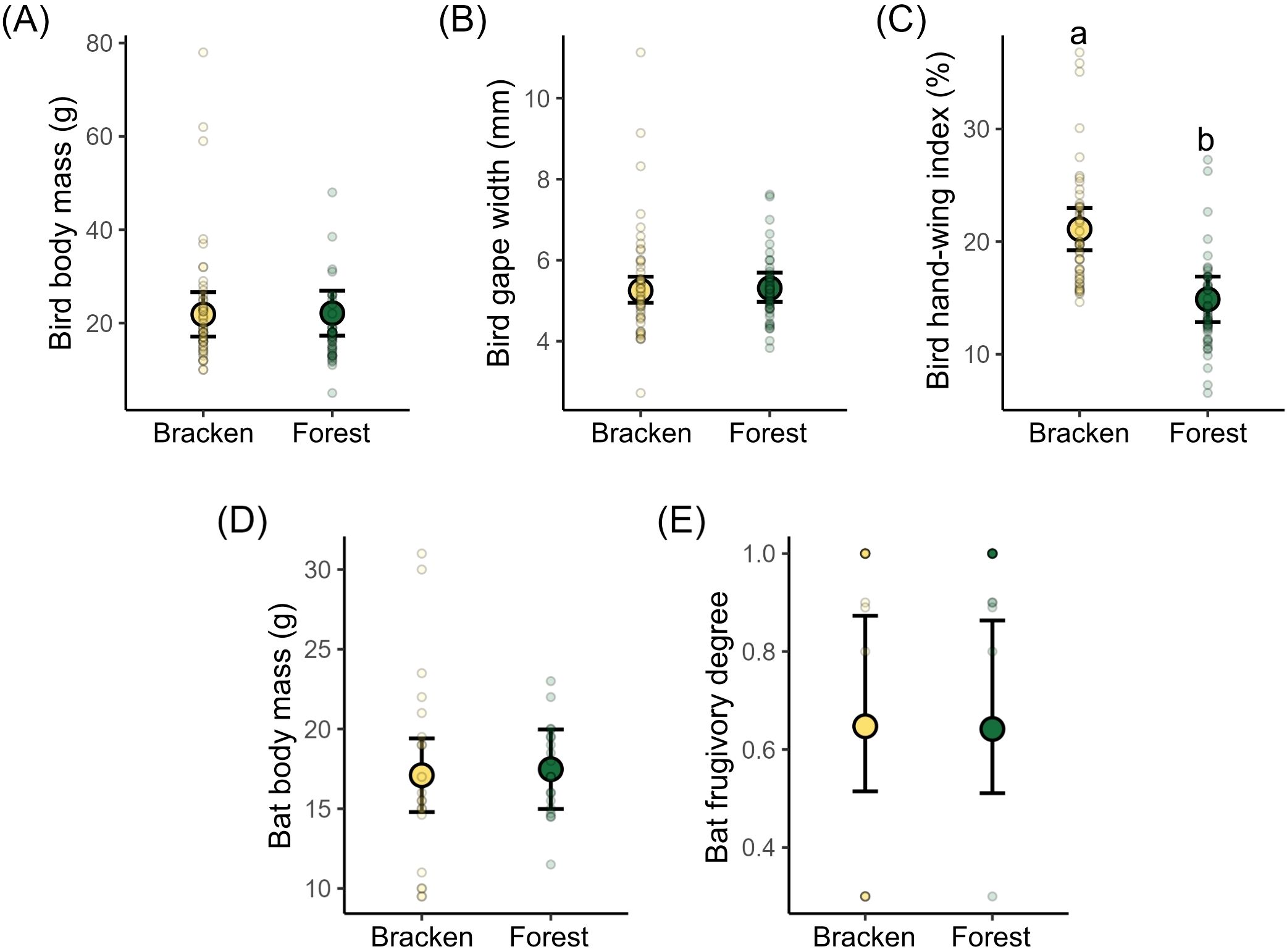Scatter plots comparing birds and bats in bracken and forest habitats. (A) Bird body mass is slightly higher in bracken. (B) Bird gape width shows minor variation between habitats. (C) Bird hand-wing index is significantly higher in bracken. (D) Bat body mass is similar across habitats. (E) Bat frugivory degree is comparable between bracken and forest. Each plot includes data points, averages, and error bars.
