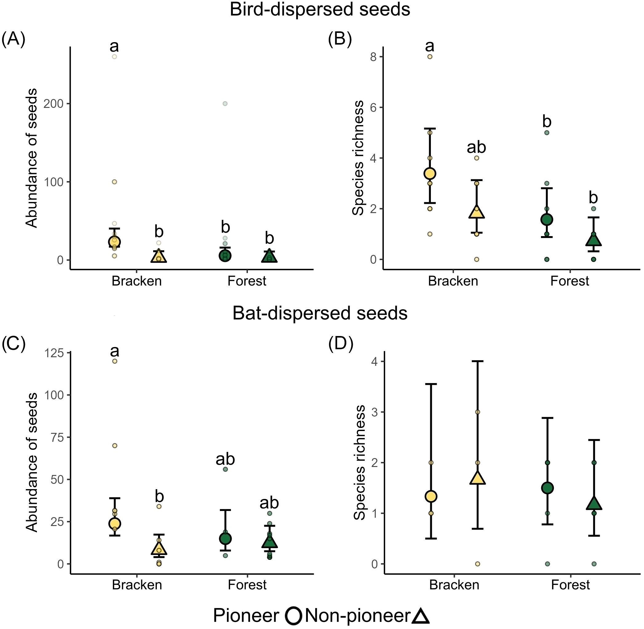 Graphs showing seed abundance and species richness. (A) and (C) depict abundance of bird- and bat-dispersed seeds respectively in bracken and forest areas. (B) and (D) depict species richness in these areas. Bracken generally has higher values. Pioneer seeds are circles, non-pioneer seeds are triangles. Different letters indicate statistical differences.