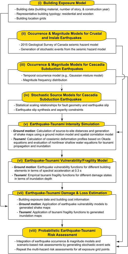 Flowchart detailing the process of earthquake-tsunami risk assessment, with eight sequential steps: (i) Building Exposure Model, (ii) Occurrence & Magnitude Models for Crustal and Inslab Earthquakes, (iii) Occurrence & Magnitude Models for Cascadia Subduction Earthquakes, (iv) Stochastic Source Models for Cascadia Subduction Earthquakes, (v) Earthquake-Tsunami Intensity Simulation, (vi) Earthquake-Tsunami Vulnerability/Fragility Model, (vii) Earthquake-Tsunami Damage & Loss Estimation, and (viii) Probabilistic Earthquake-Tsunami Risk Assessment. Each step includes specific methodologies and data considerations outlined in bullet points.