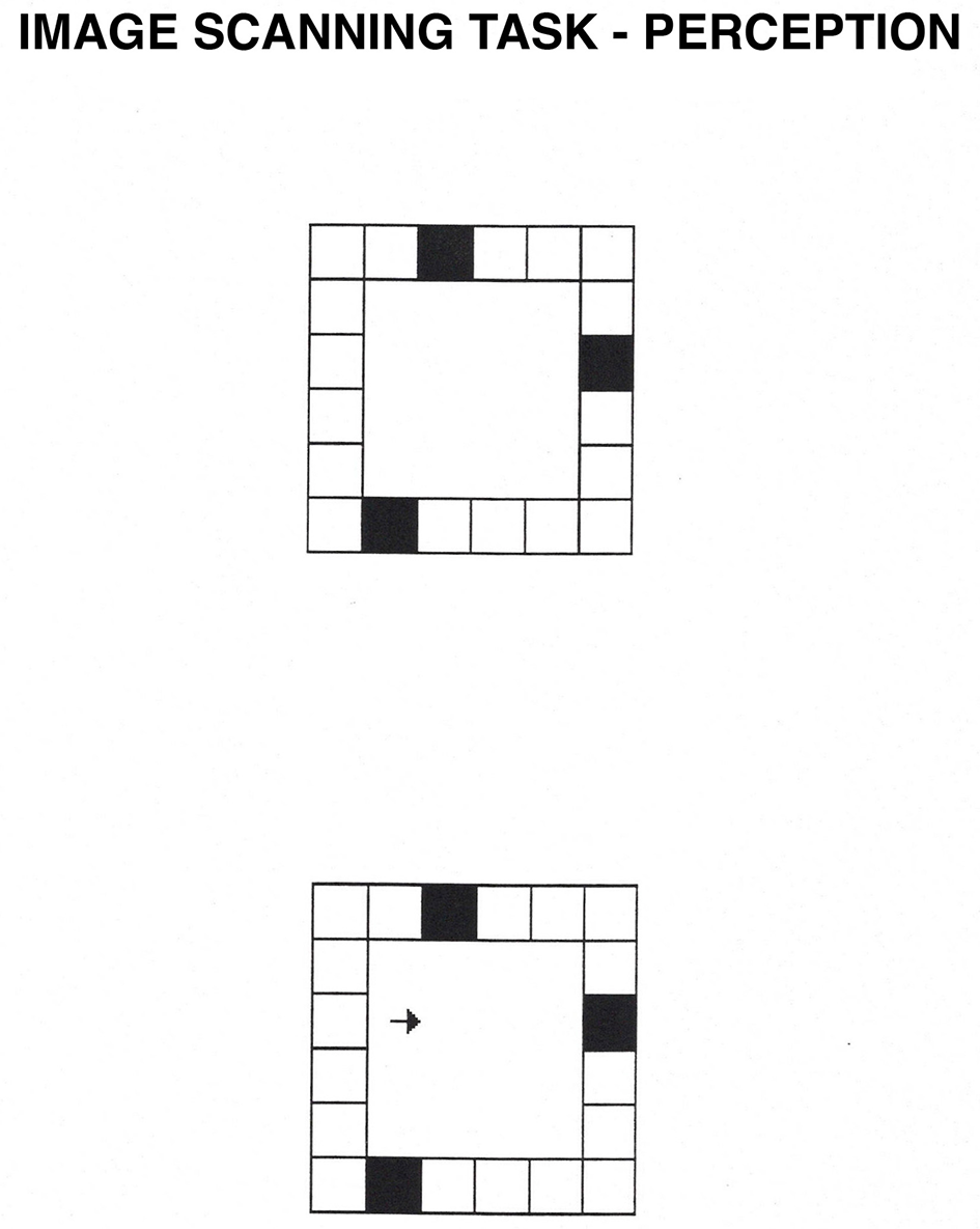 Two diagrams illustrating the motor imagery task. The top section labeled ”Perception” shows two pixelated hands, with asterisks in the center. The one on the right is rotated 0°. The bottom section labeled ”Imagery” depicts two different pixelated hands with asterisks in the center. The hand on the right is rotated 90°.
